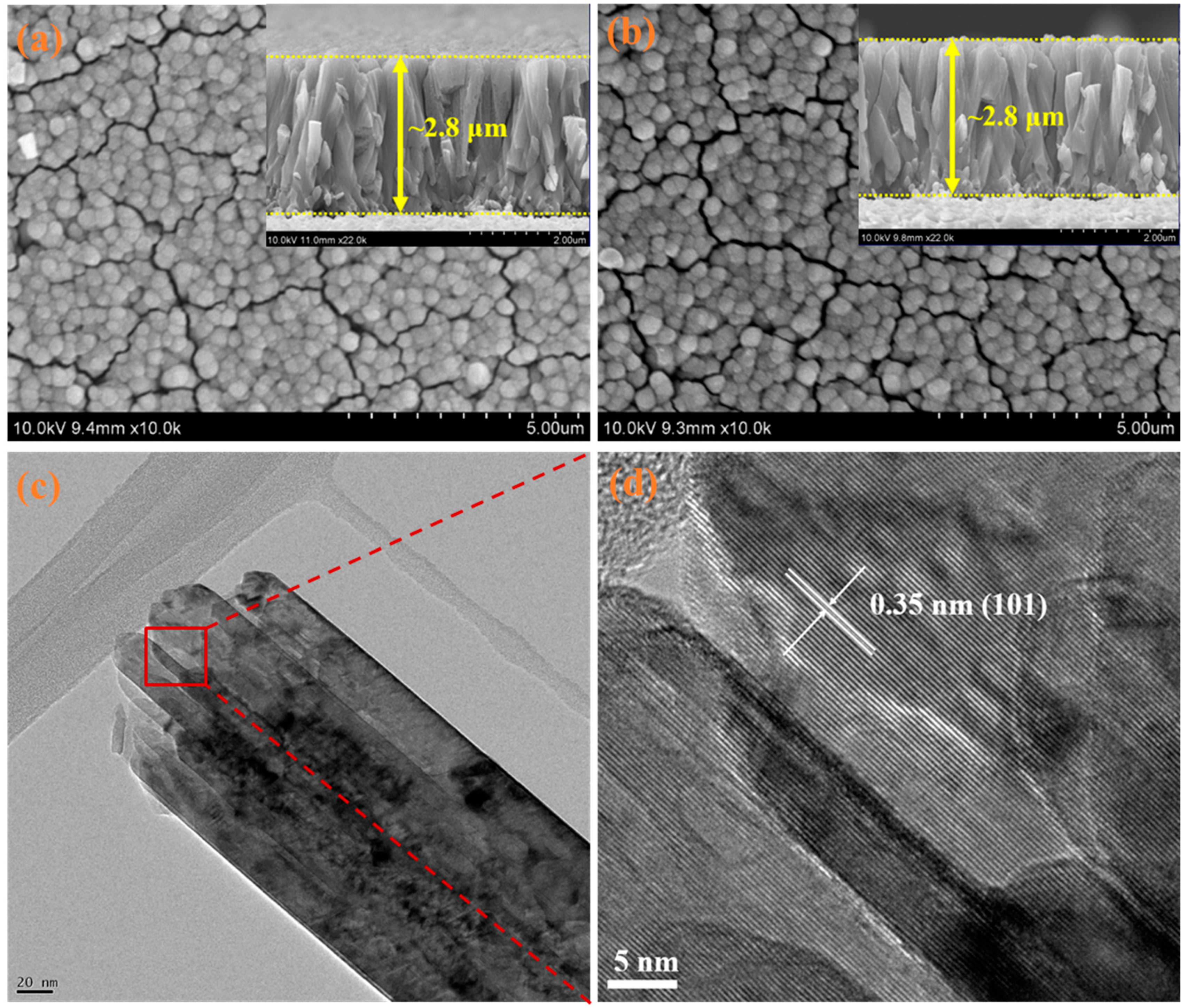 Catalysts 12 01281 g001 Catalysts 12 01281 g001