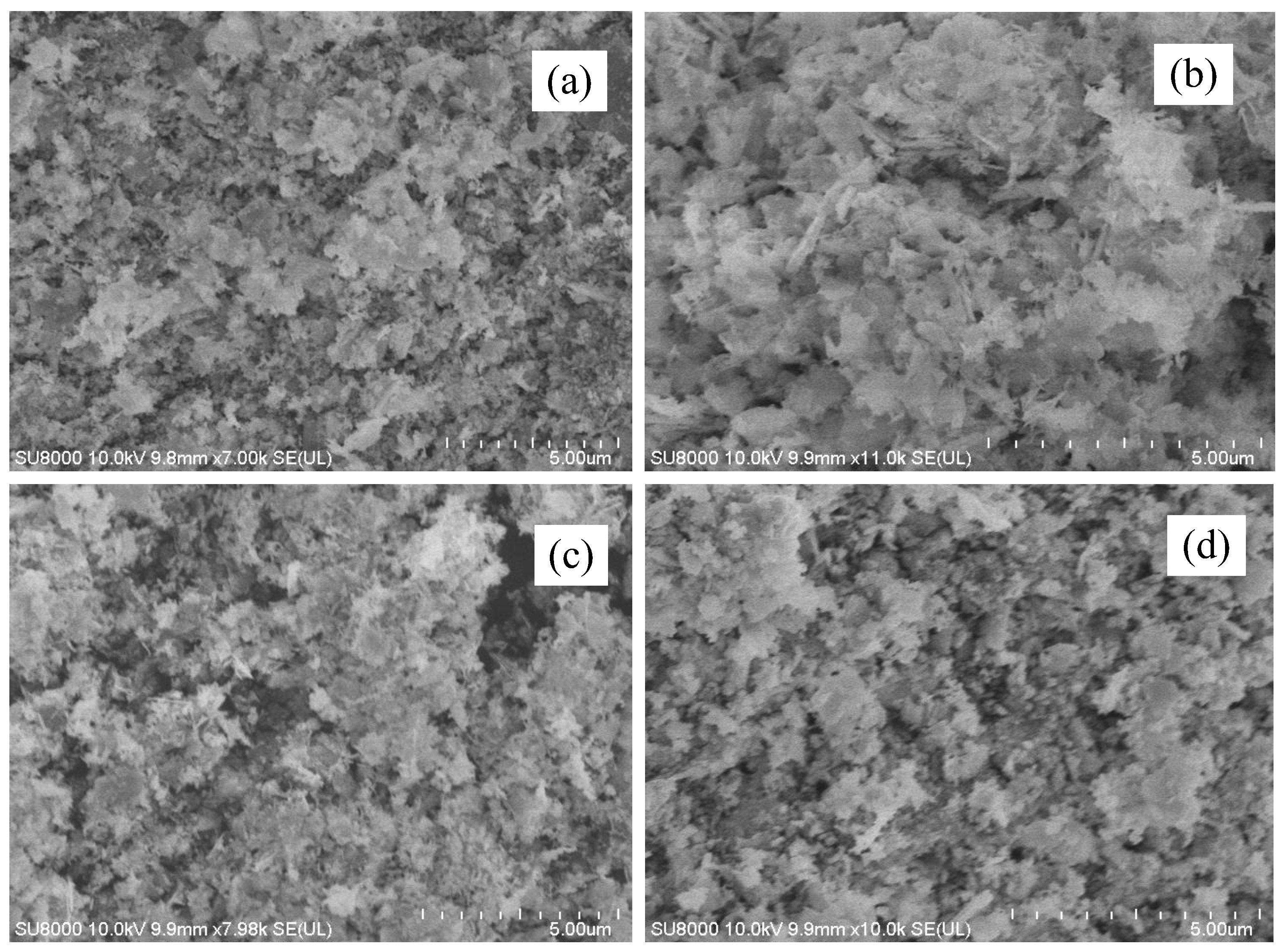 Catalysts 12 01295 g004