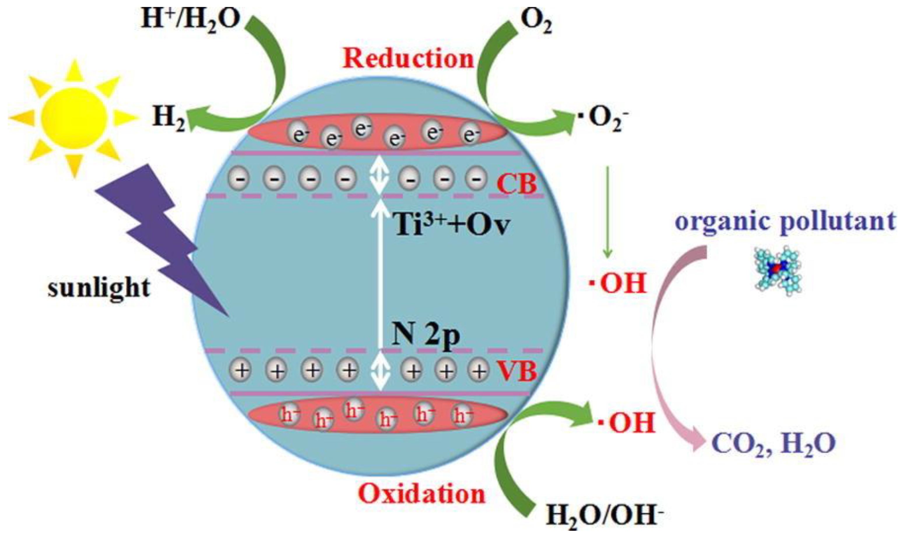 Catalysts 12 01331 g006