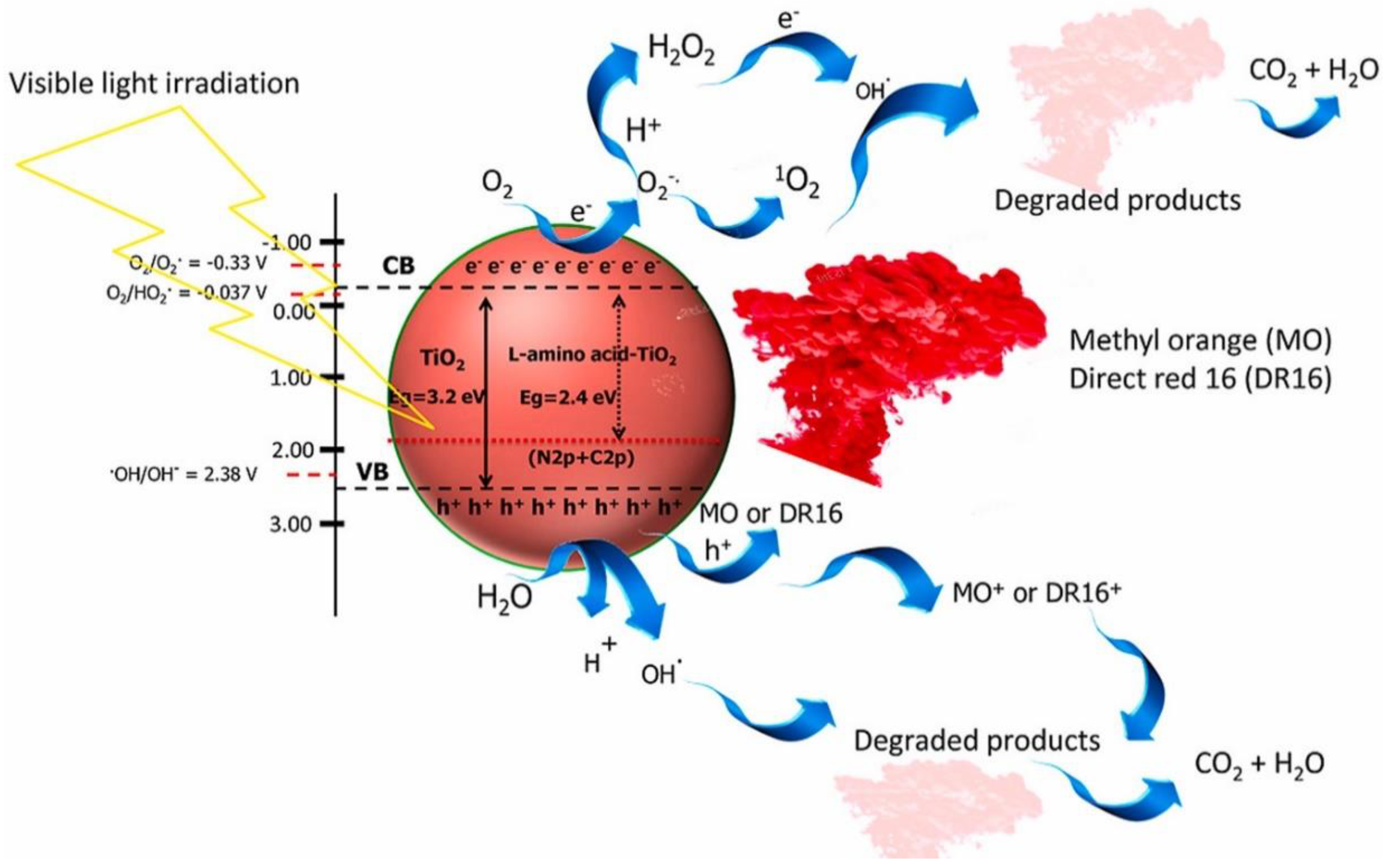 Catalysts 12 01331 g007