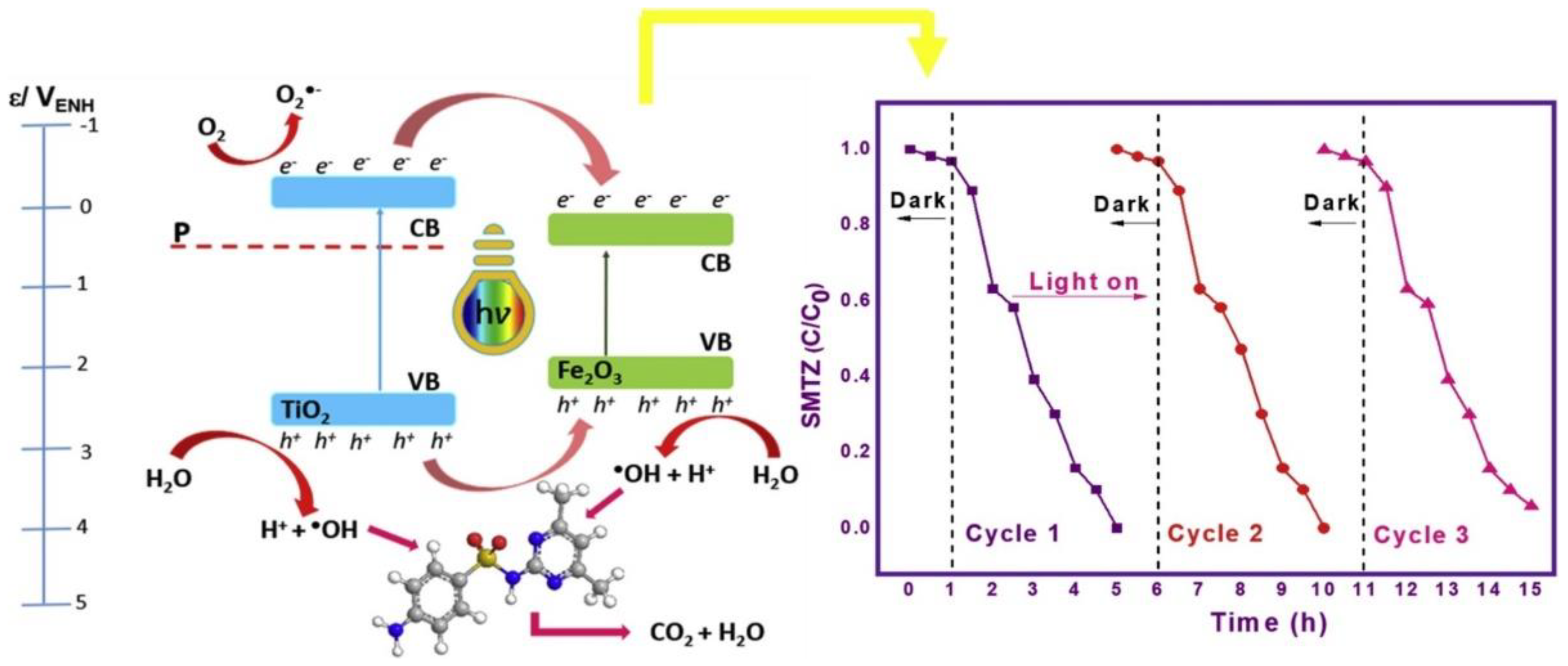 Catalysts 12 01331 g010