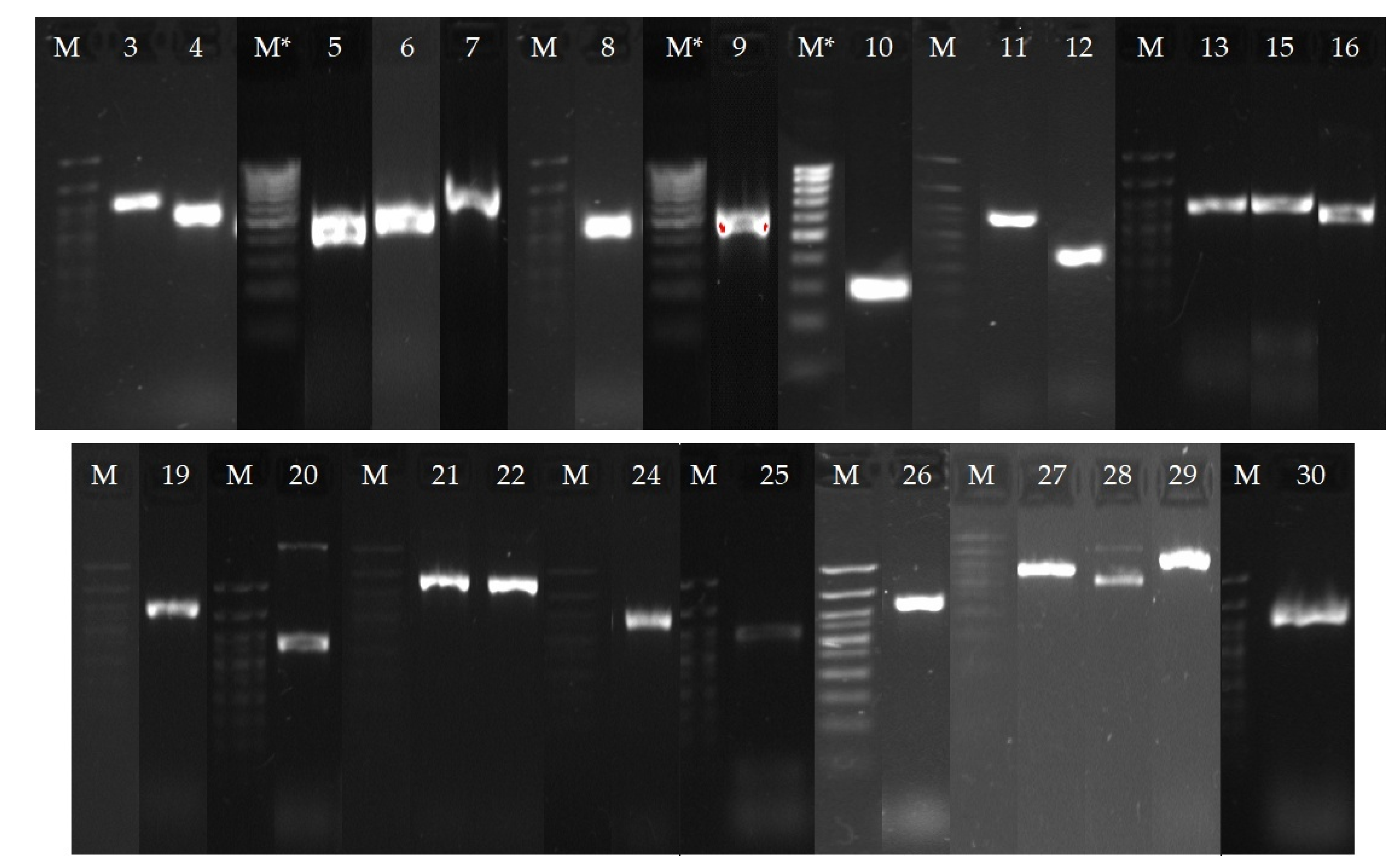 Catalysts 12 01352 g010 Catalysts 12 01352 g010