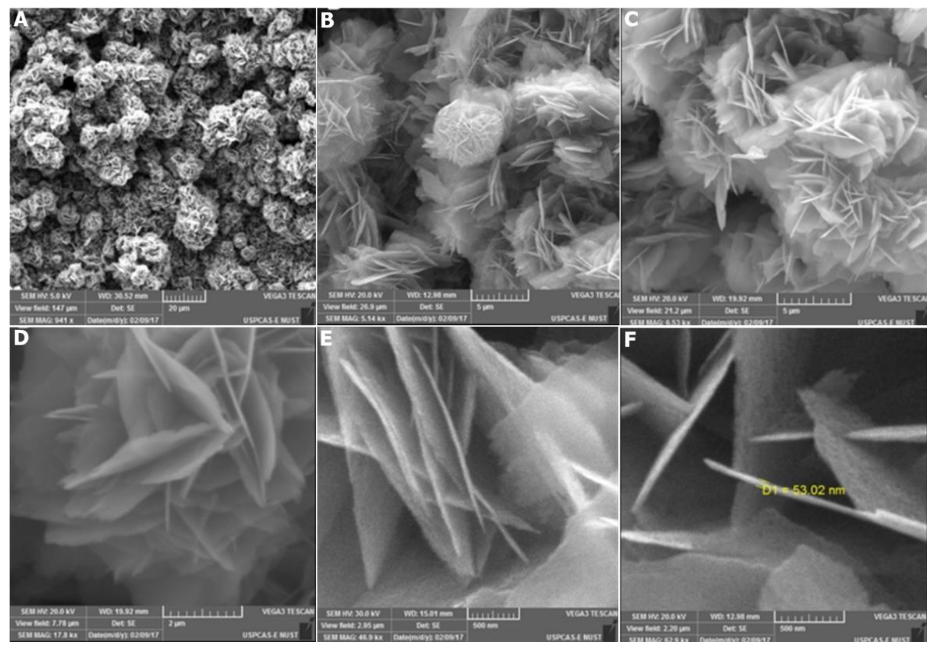 Catalysts 12 01354 g007 Catalysts 12 01354 g007