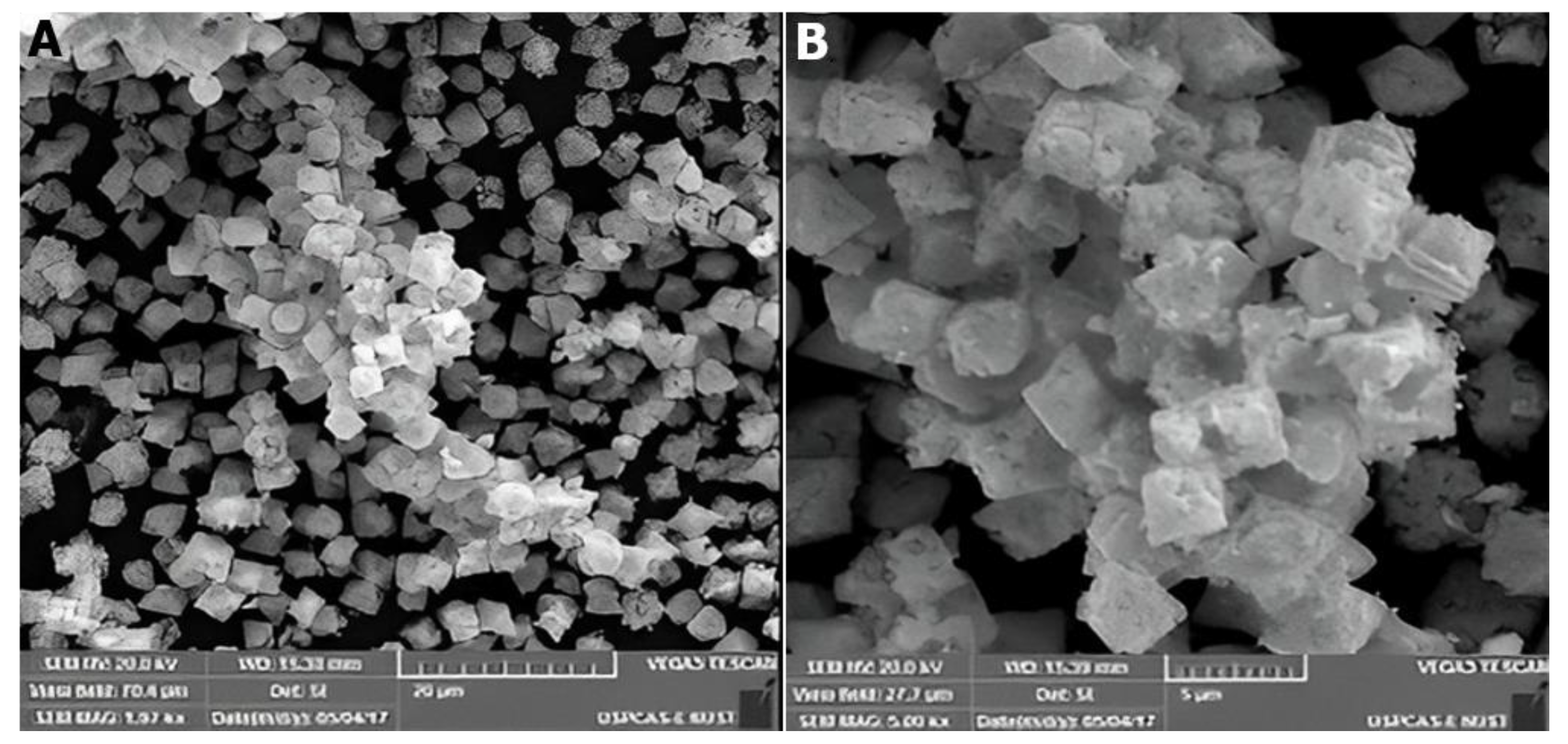 Catalysts 12 01354 g009 Catalysts 12 01354 g009