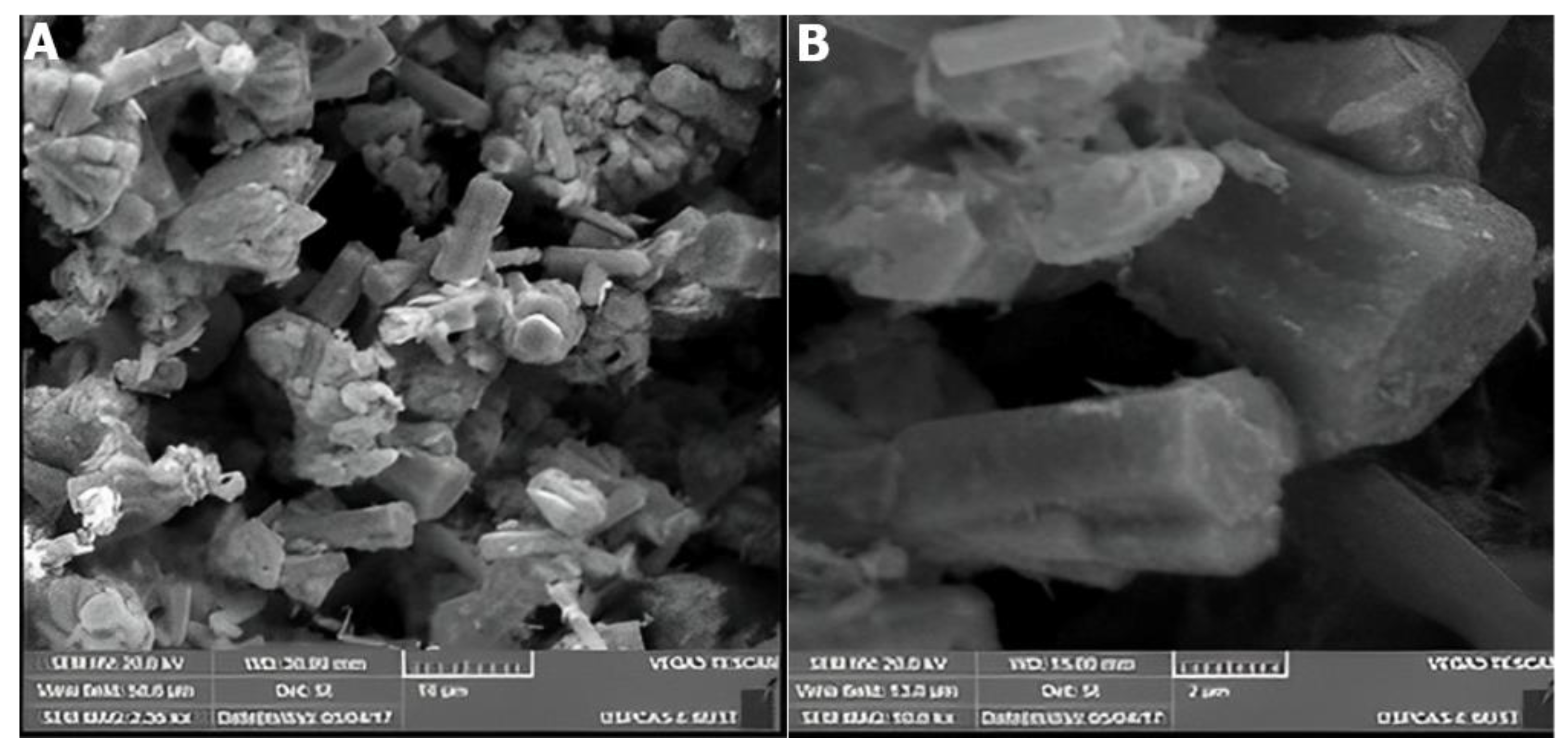 Catalysts 12 01354 g010 Catalysts 12 01354 g010