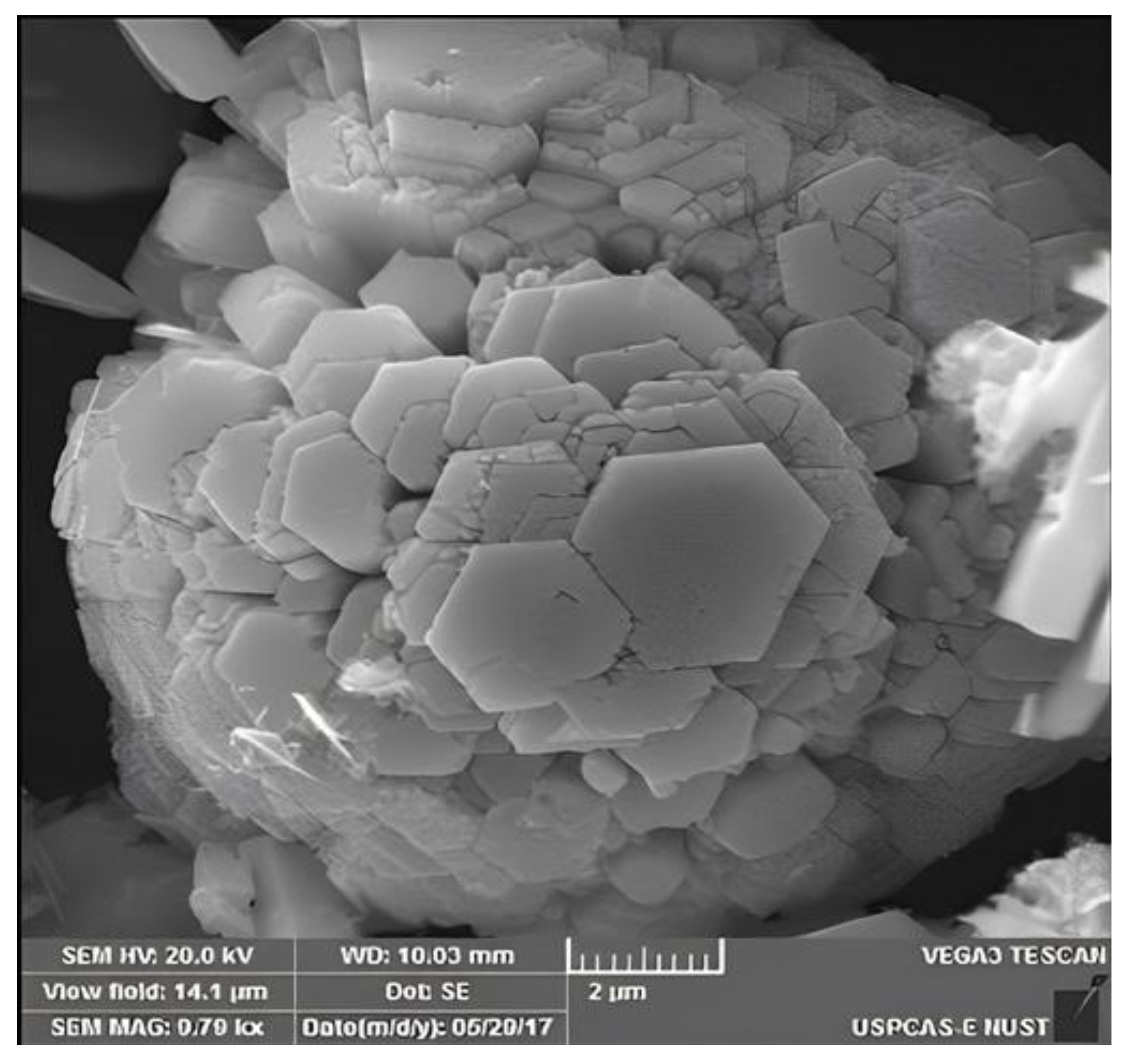 Catalysts 12 01354 g011 Catalysts 12 01354 g011