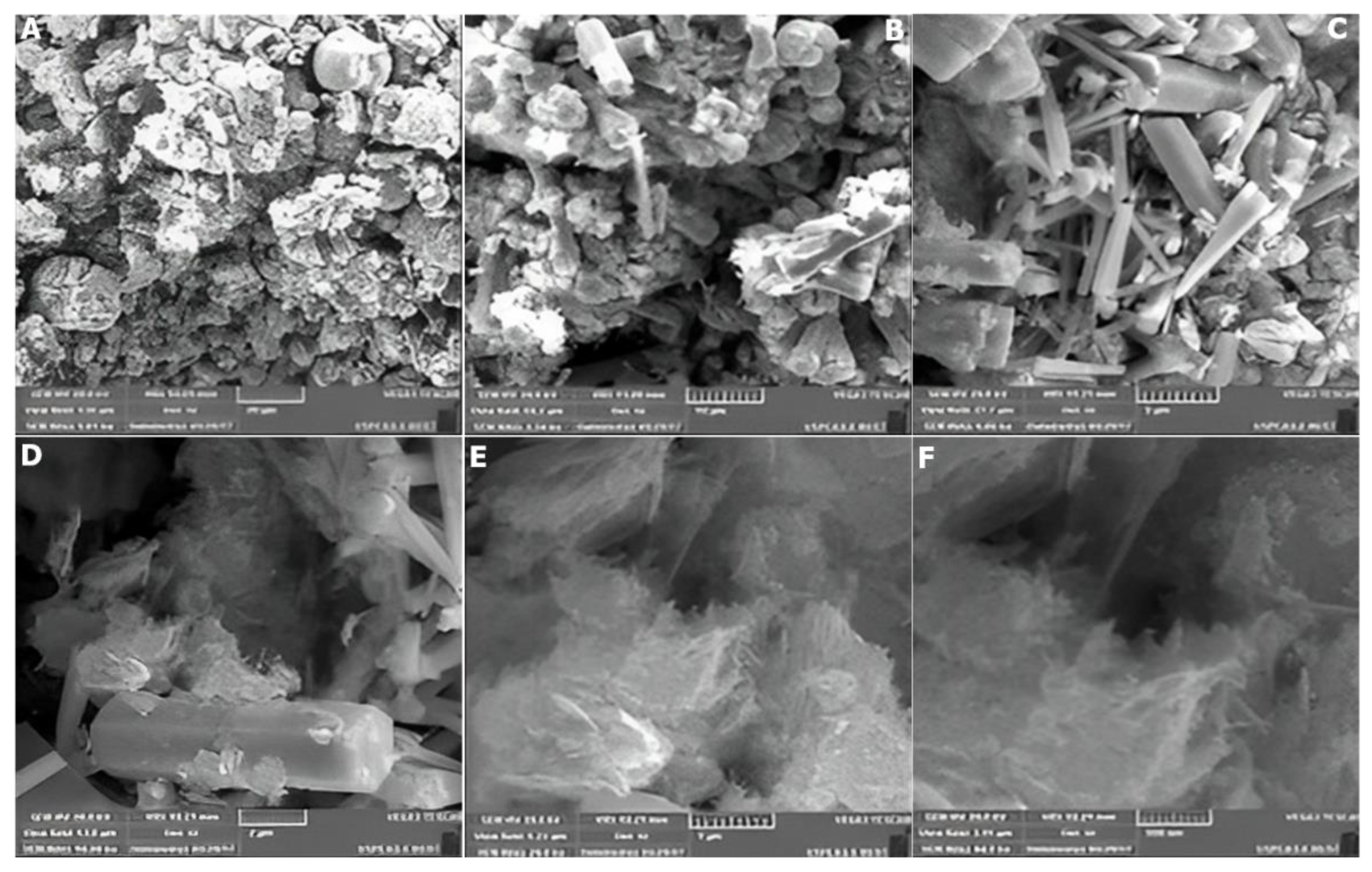 Catalysts 12 01354 g012 Catalysts 12 01354 g012