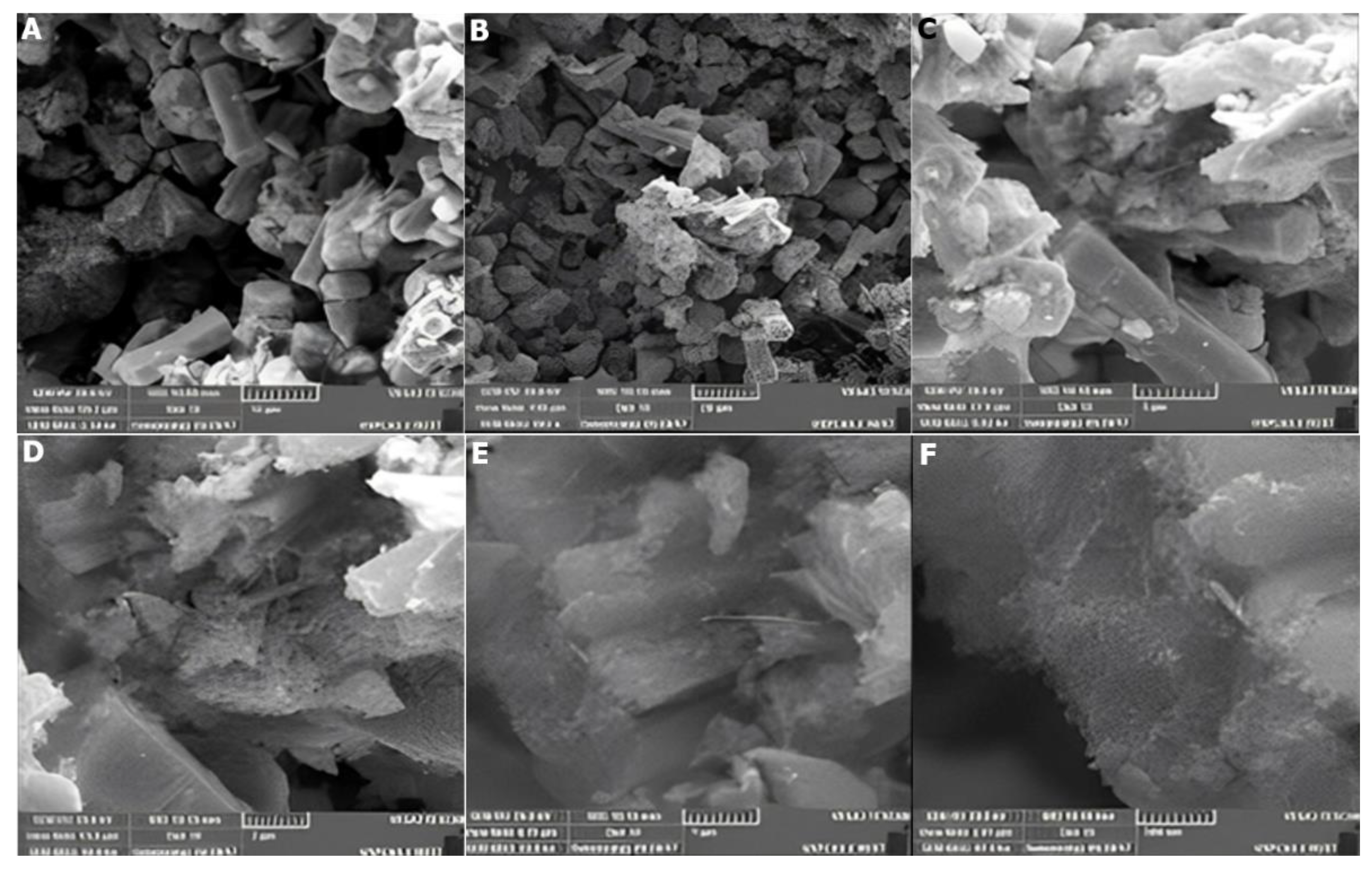 Catalysts 12 01354 g013 Catalysts 12 01354 g013