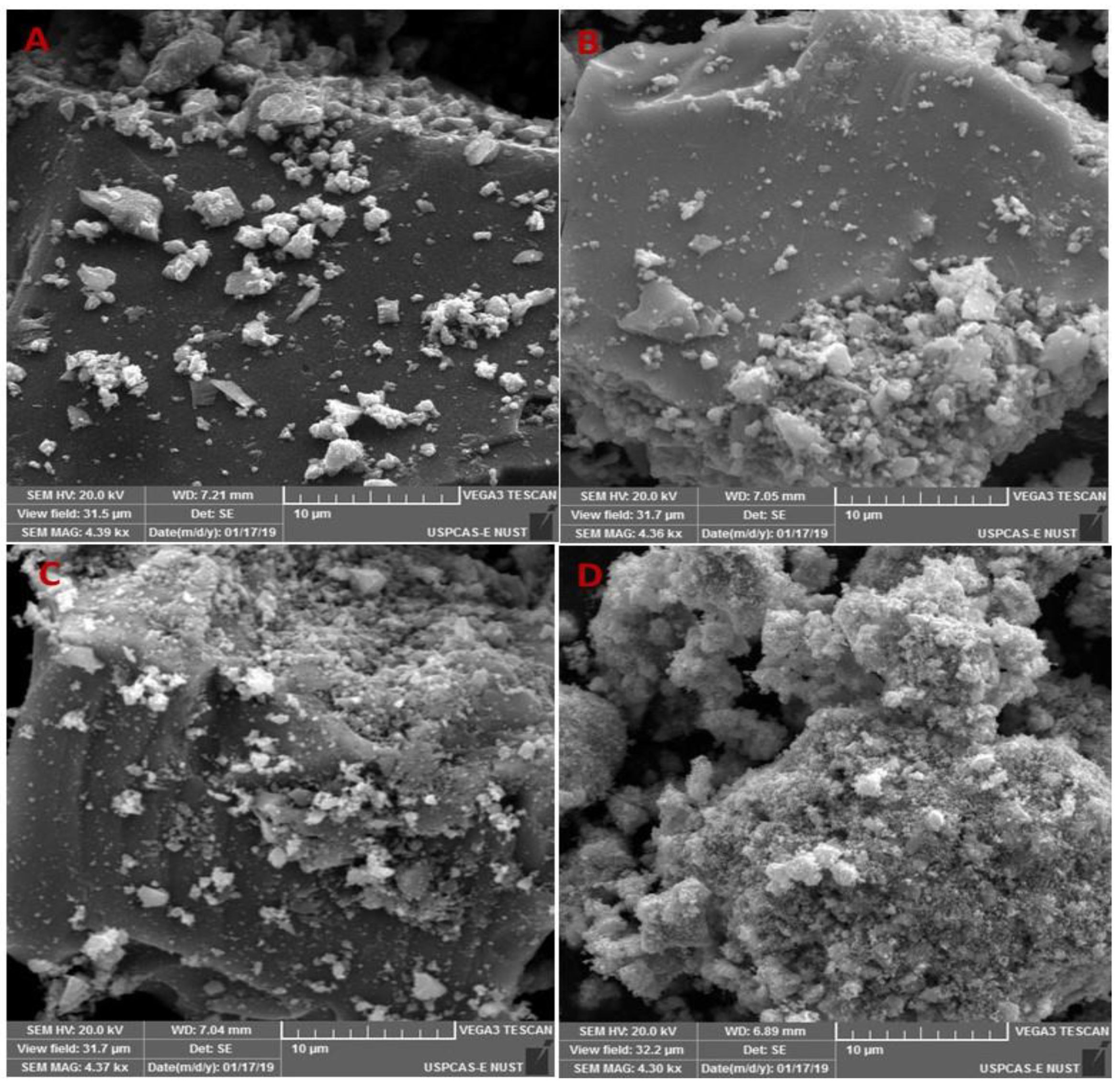 Catalysts 12 01397 g003