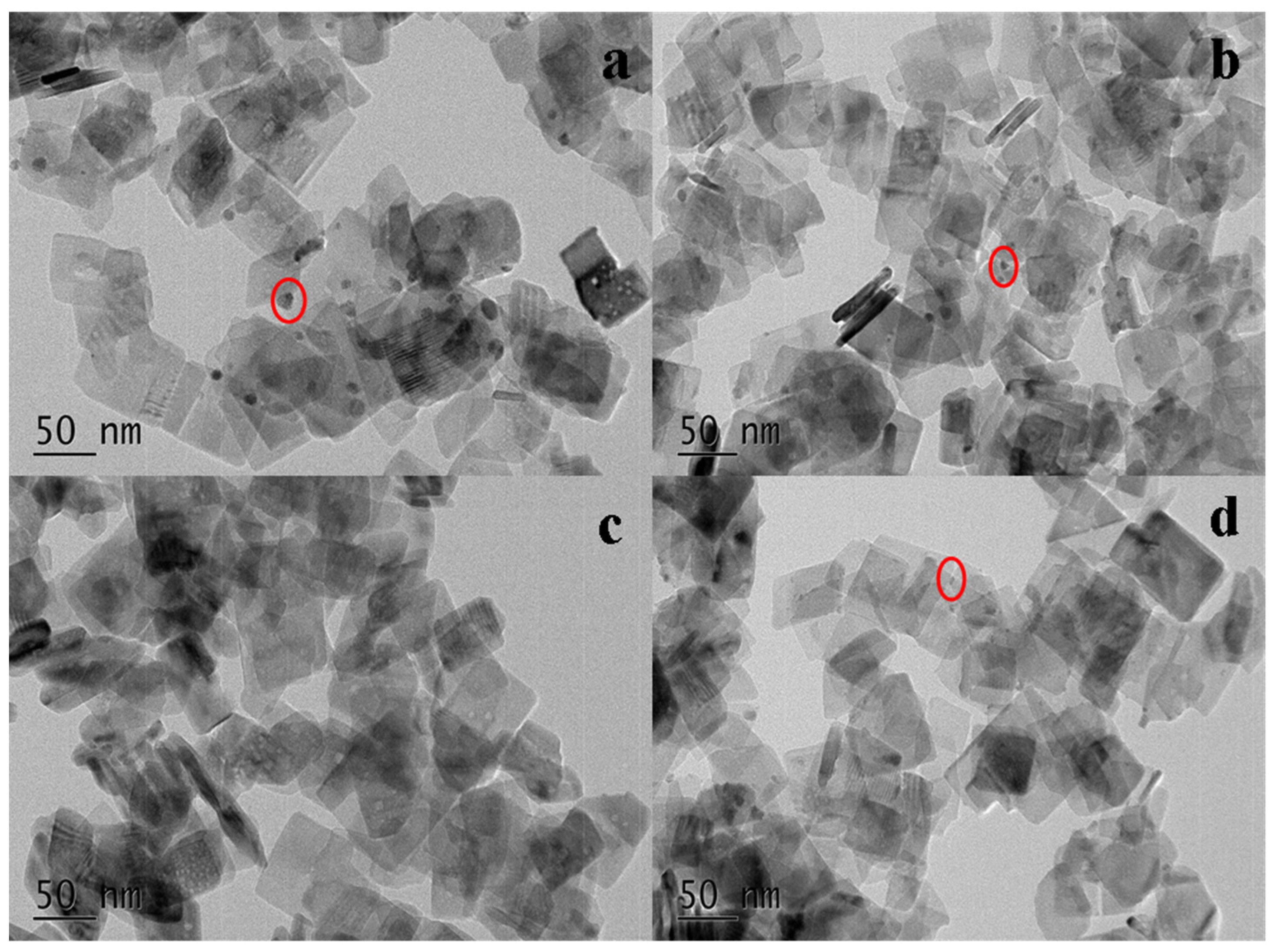 Catalysts 12 01406 g003
