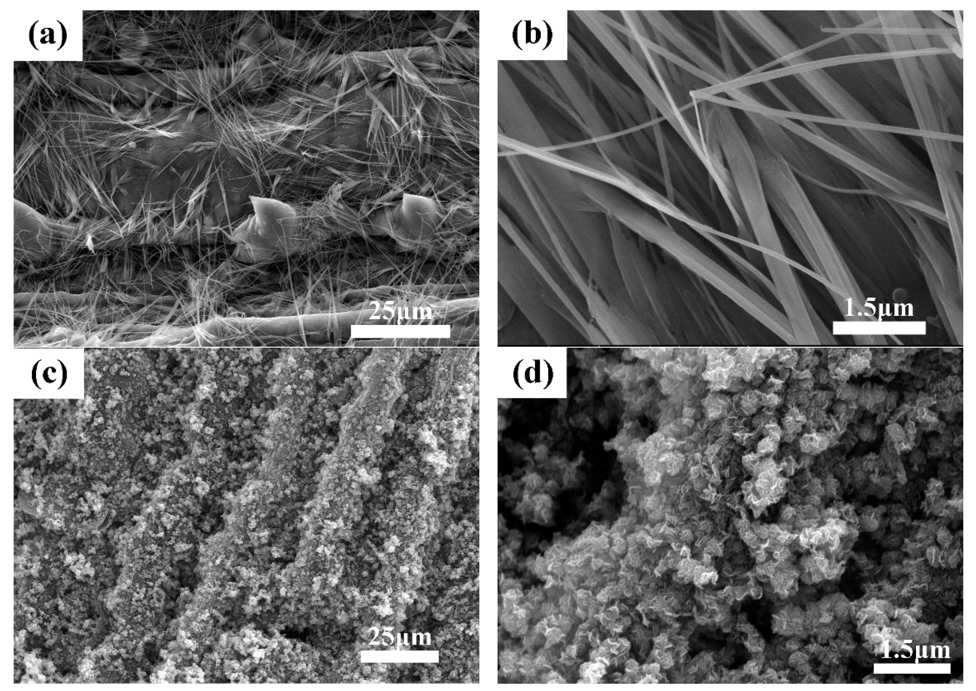 Catalysts 12 01423 g003 Catalysts 12 01423 g003