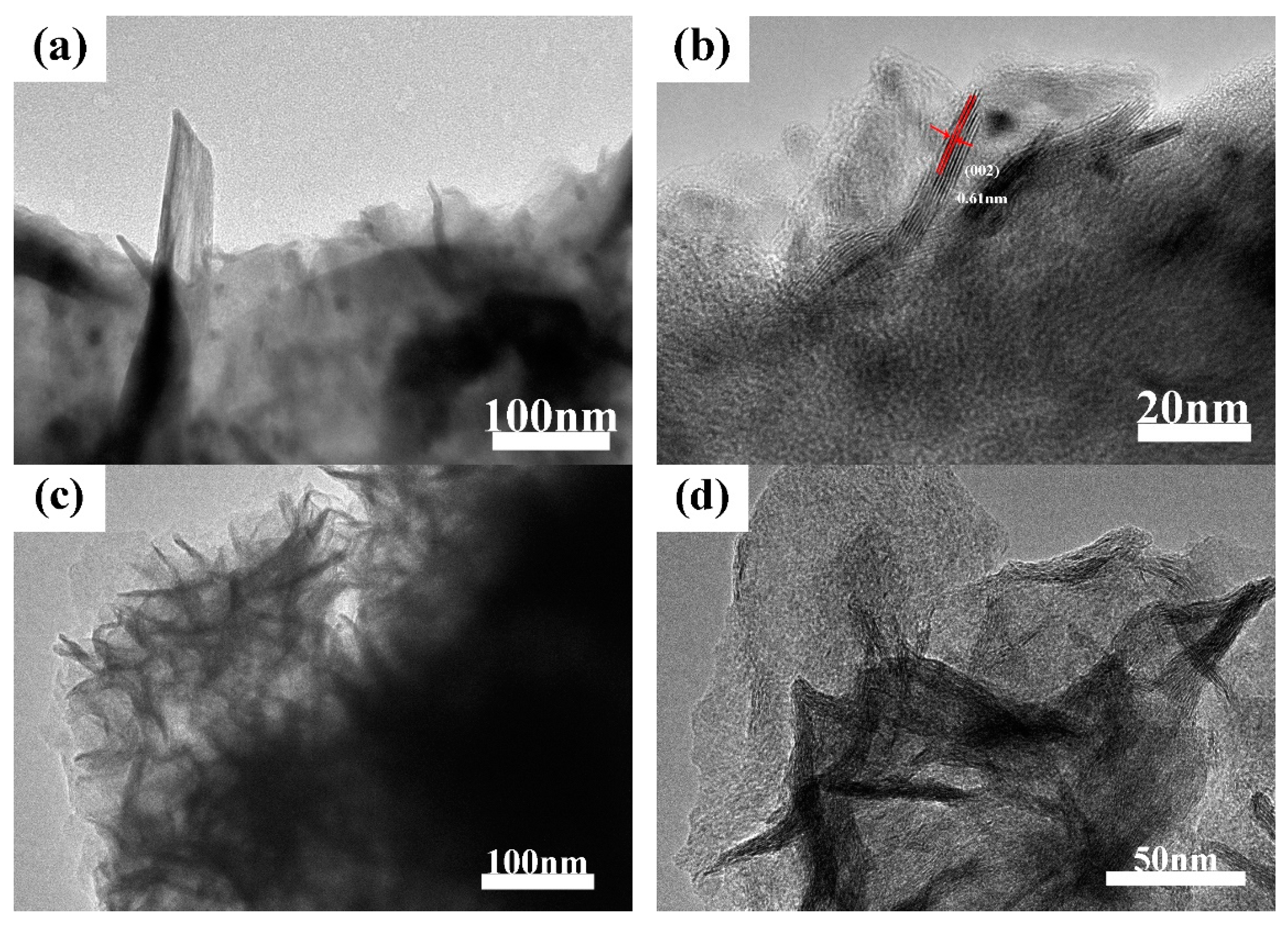 Catalysts 12 01423 g004 Catalysts 12 01423 g004
