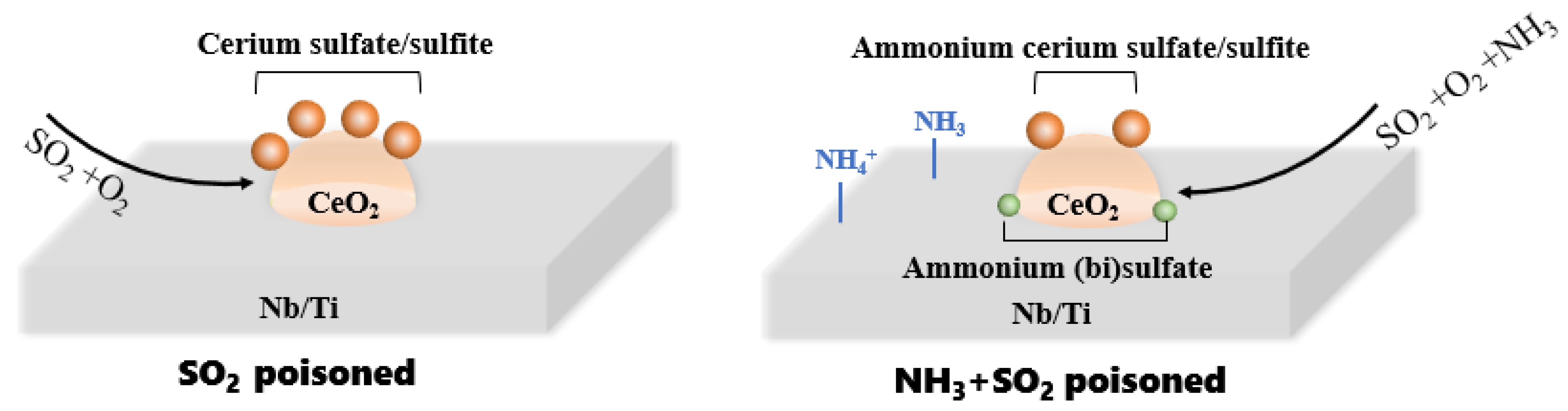 Catalysts 12 01430 g007