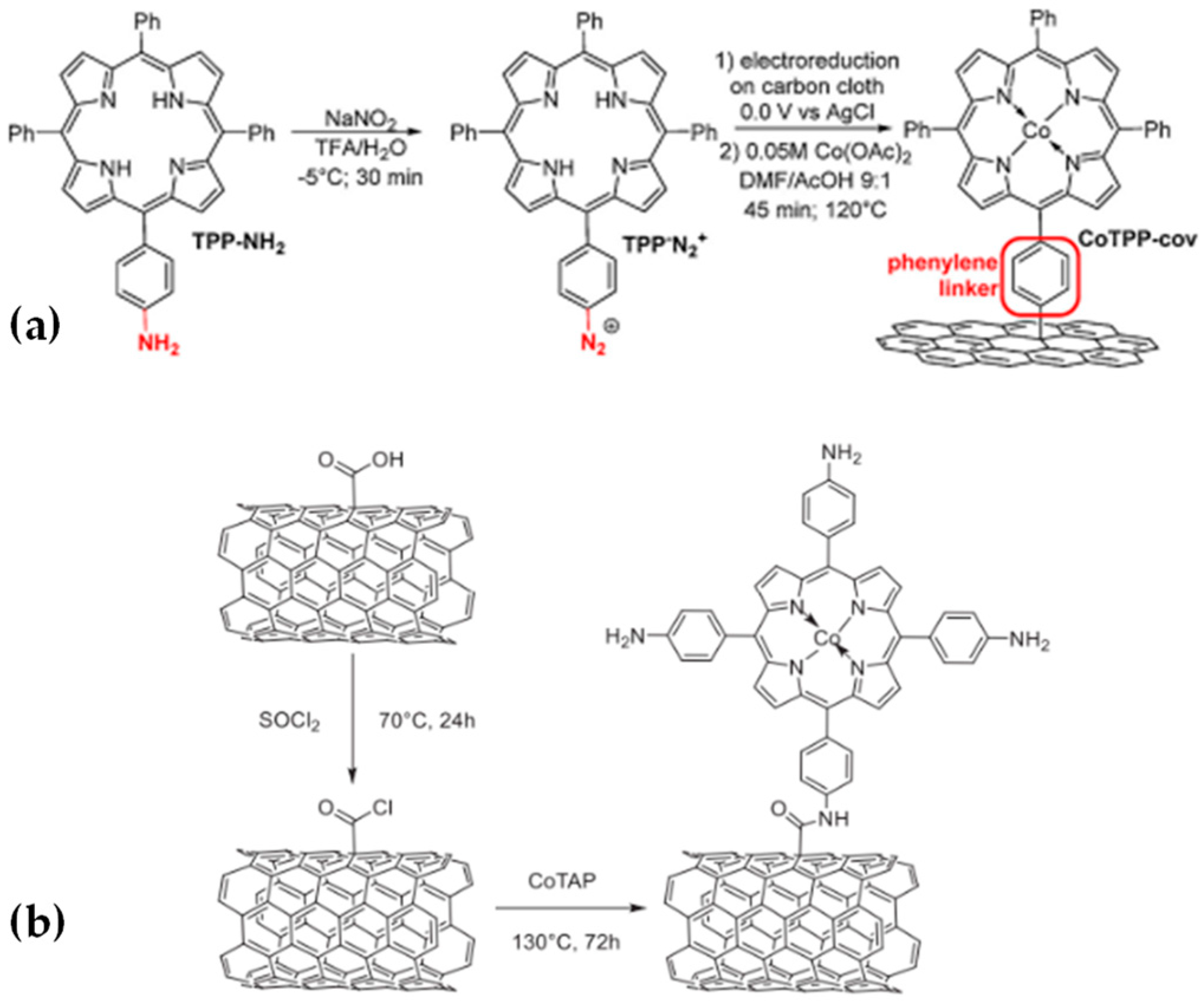 Catalysts 12 01448 g011