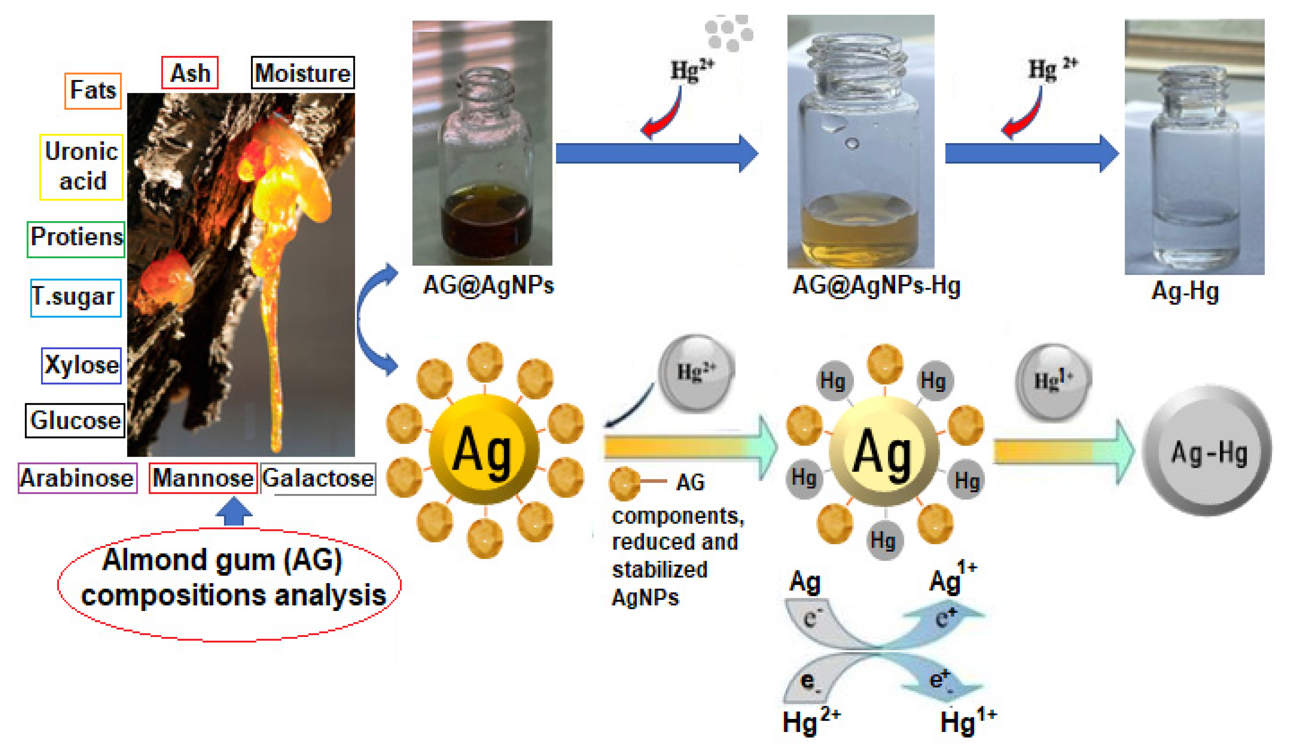 Catalysts 12 01464 sch002 Catalysts 12 01464 sch002