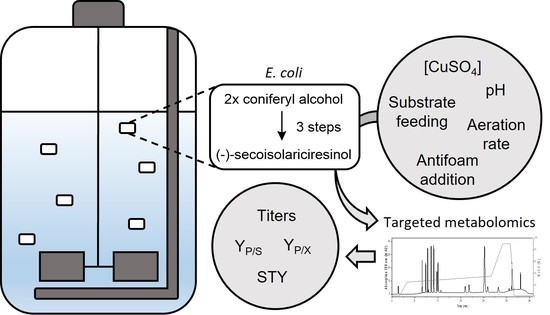 Catalysts | Free Full-Text | Heterologous Lignan Production in Stirred-Tank  Reactors—Metabolomics-Assisted Bioprocess Development for an In Vivo  Enzyme Cascade