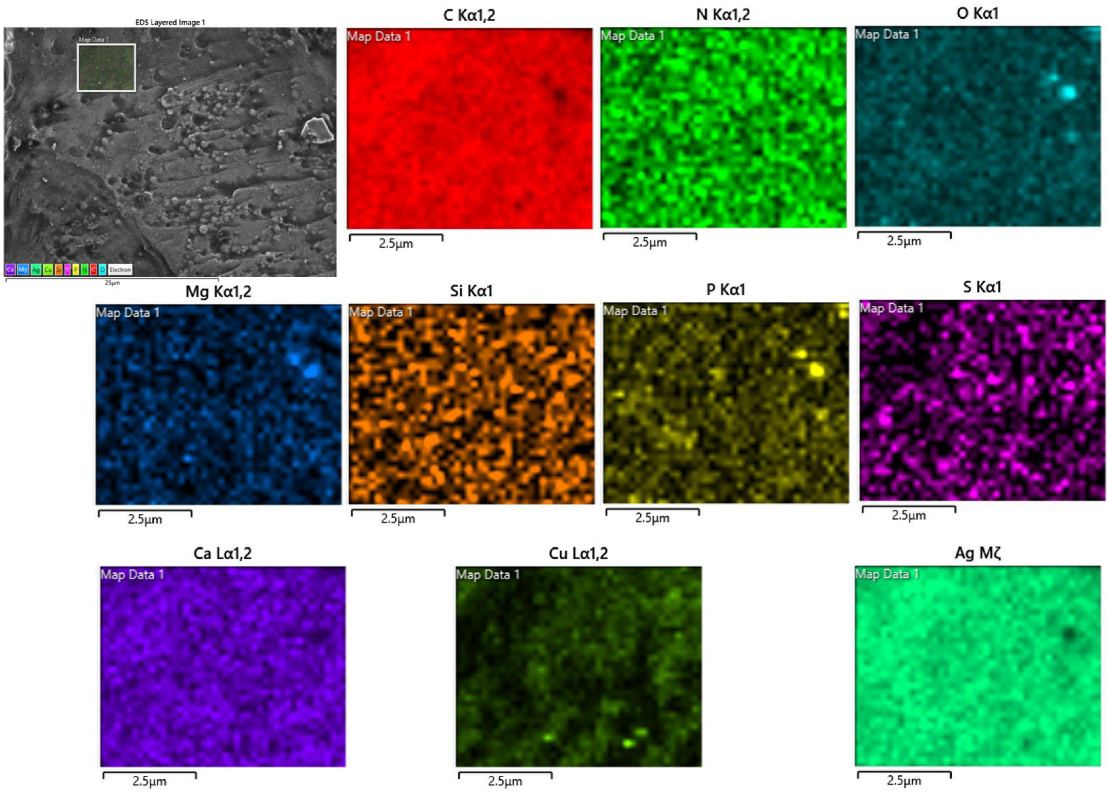 Catalysts 12 01475 g006