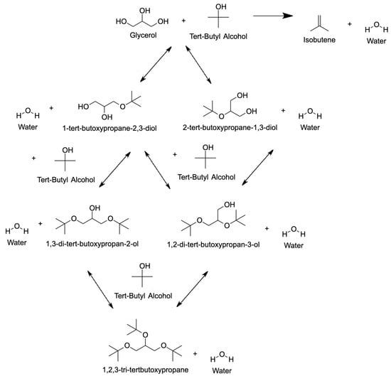 Catalysts | Free Full-Text | Critical Review of the Various Reaction ...