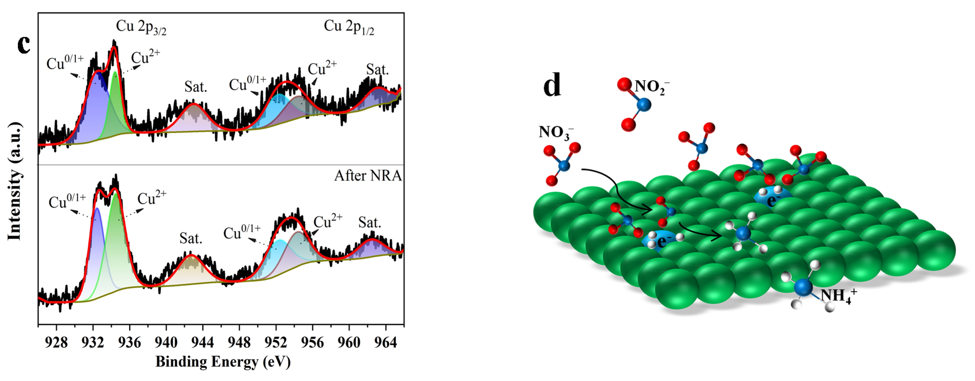 Catalysts 12 01561 g005b