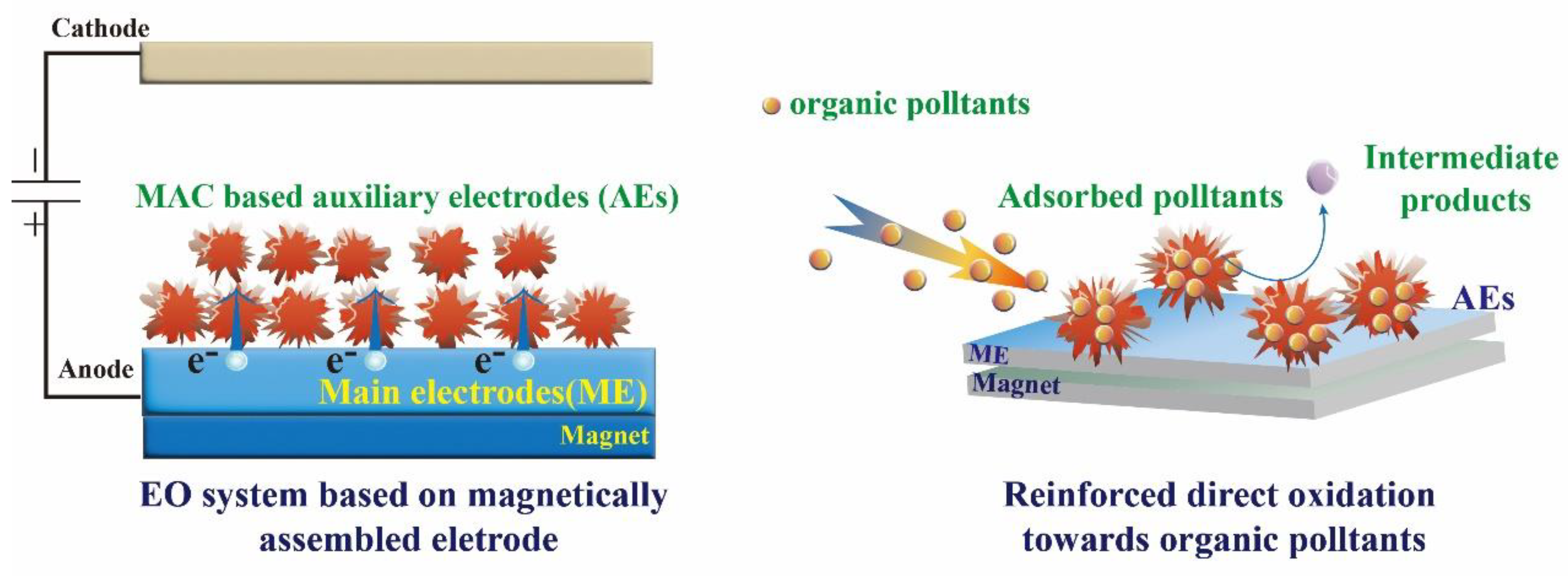 Catalysts 13 00007 sch001