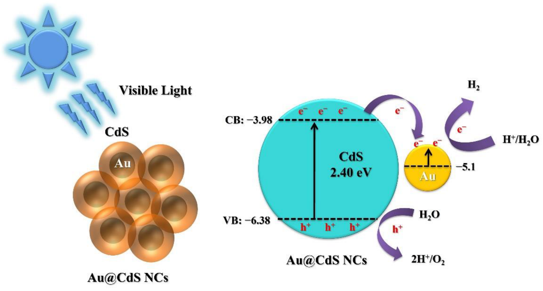 Catalysts 13 00033 g008