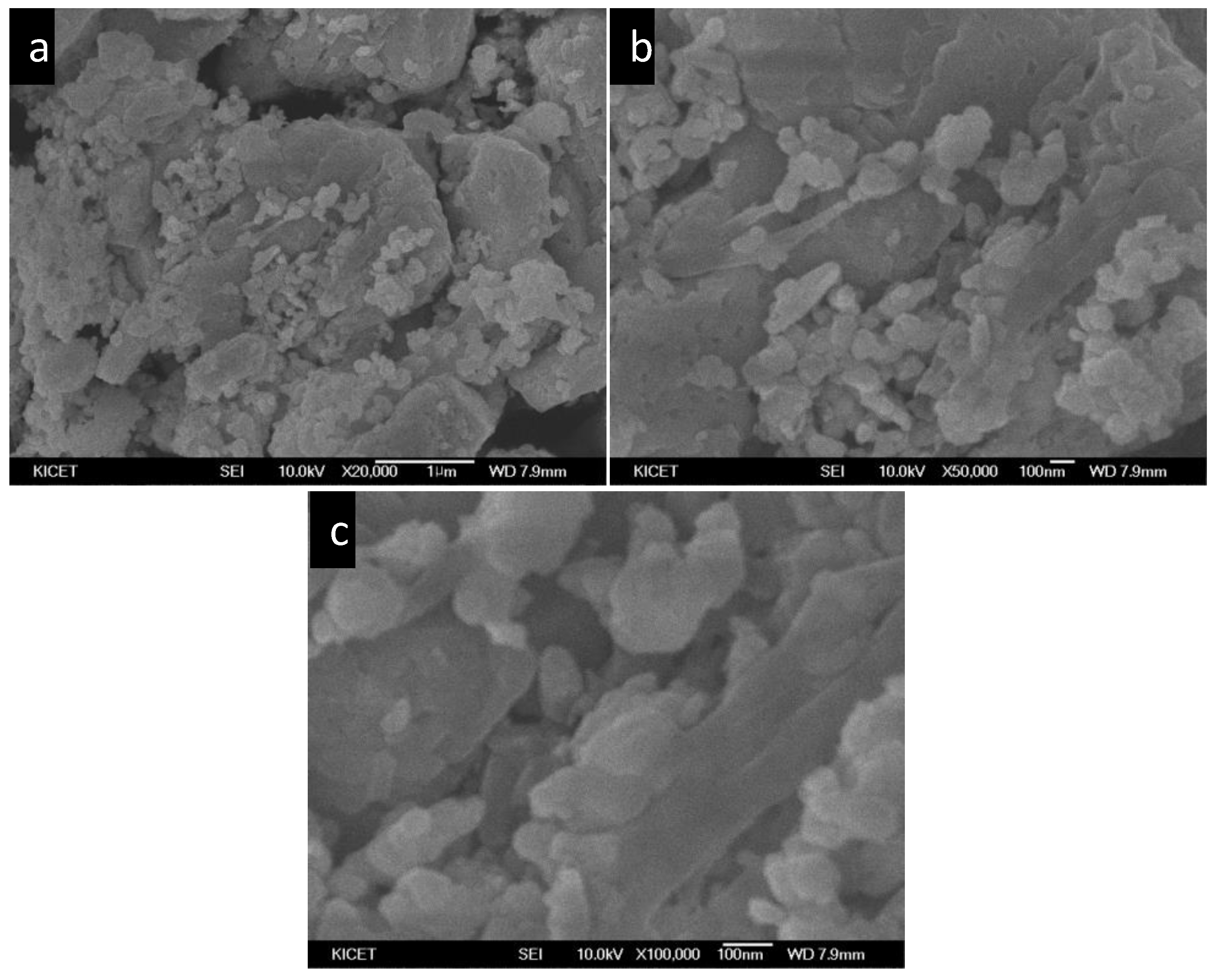 Catalysts 13 00044 g002 Catalysts 13 00044 g002