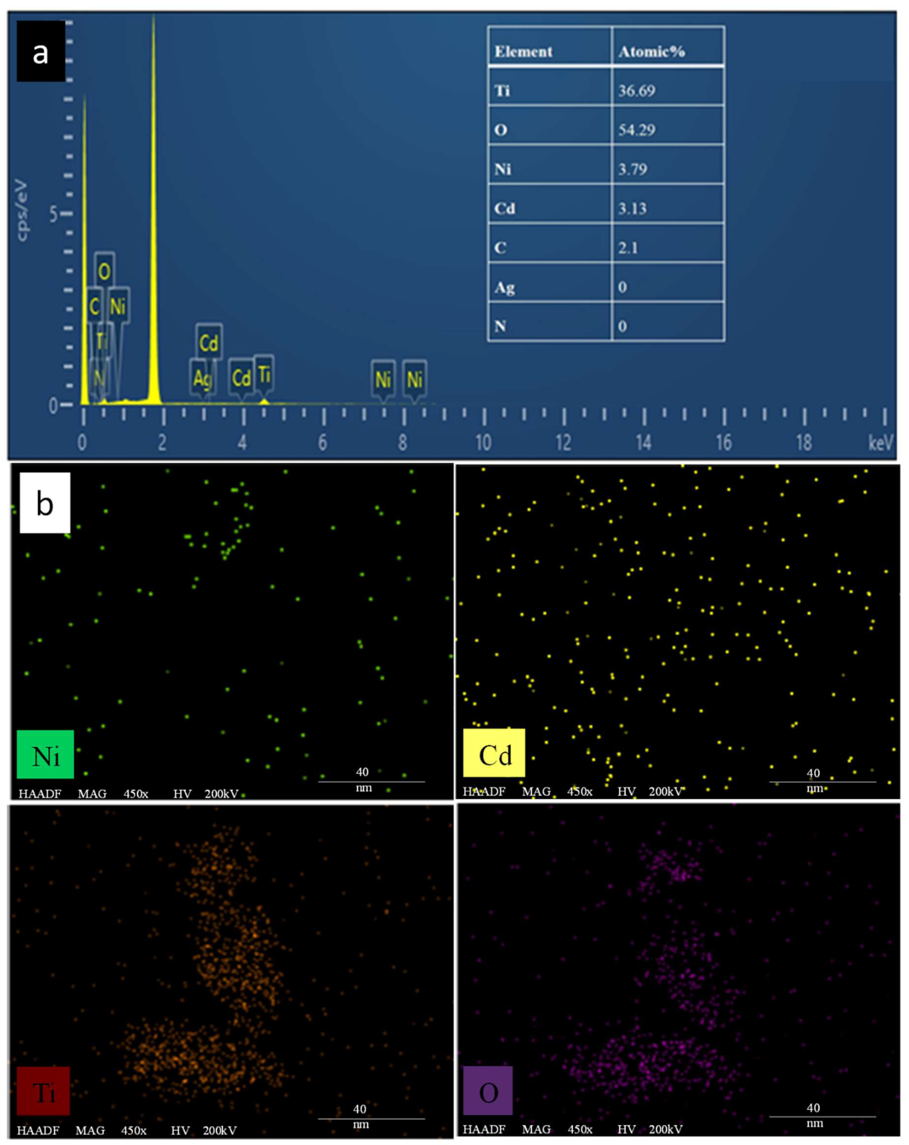 Catalysts 13 00044 g005 Catalysts 13 00044 g005