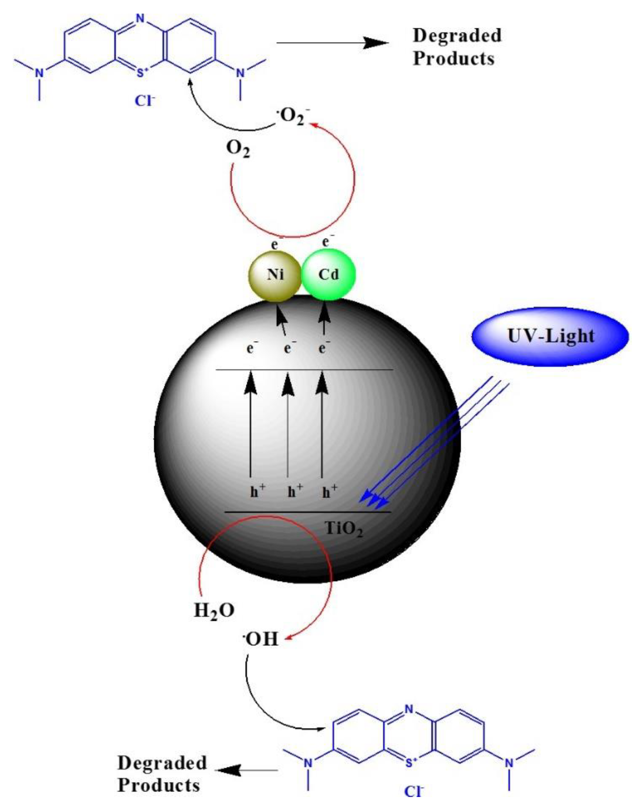 Catalysts 13 00044 g011 Catalysts 13 00044 g011