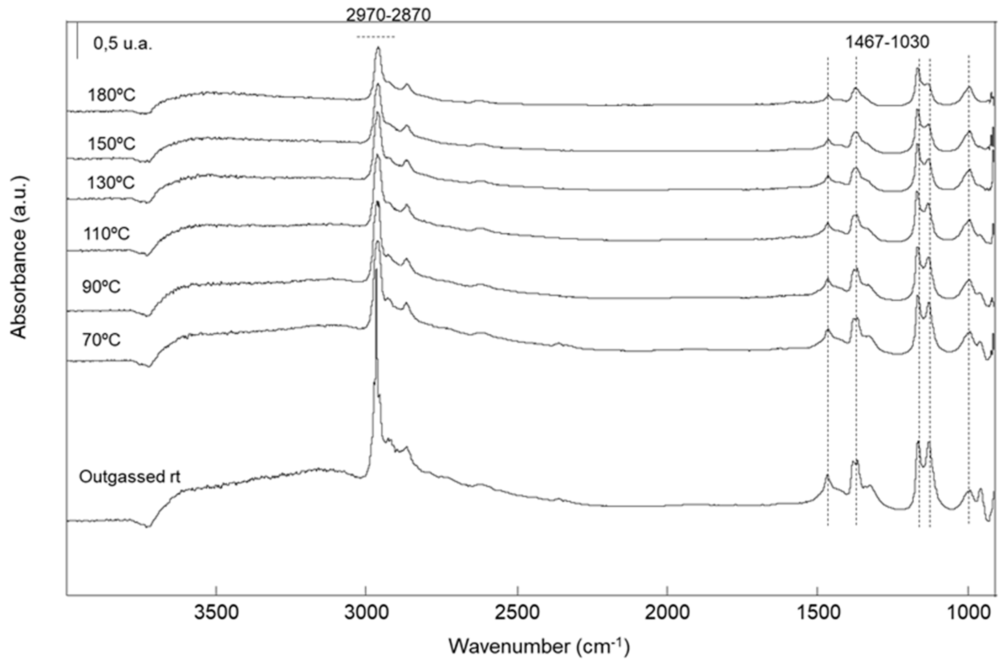 Catalysts 13 00045 g013