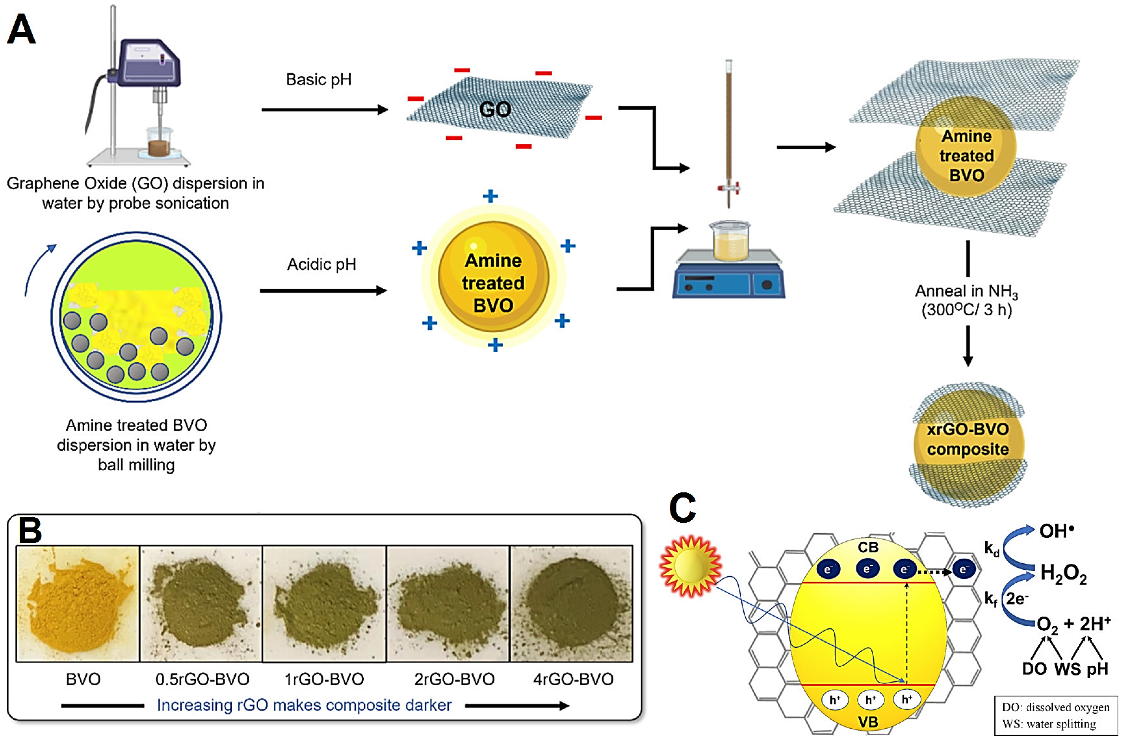 Catalysts 13 00059 g002