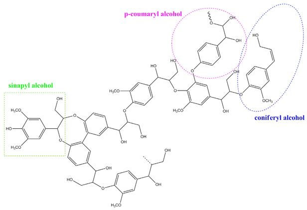 Catalysts 13 00080 i007 Catalysts 13 00080 i007