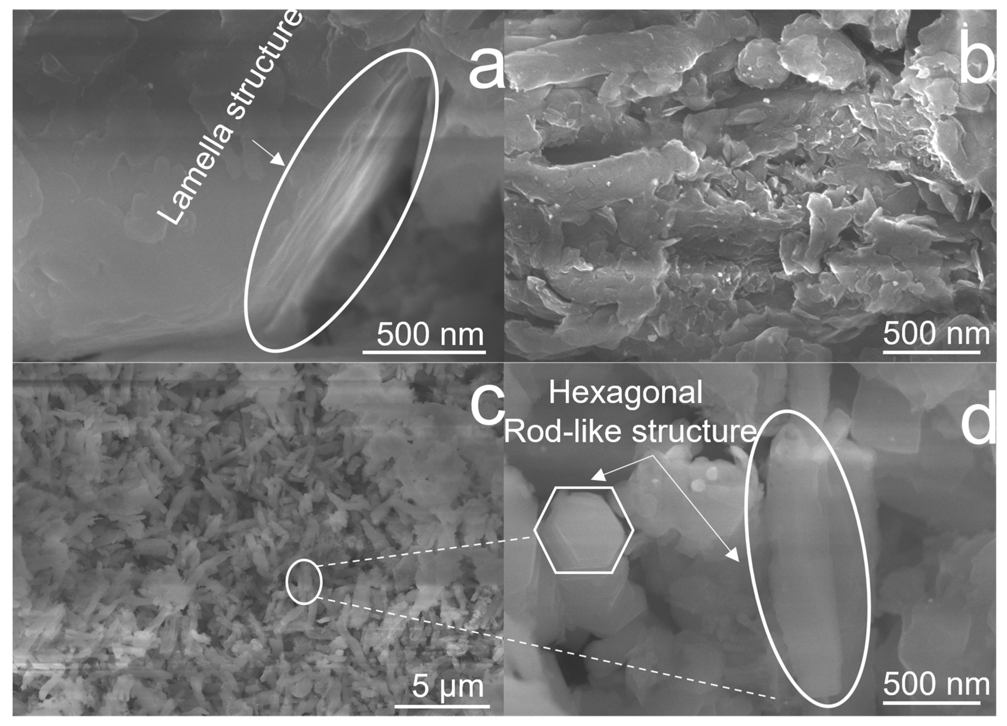 Catalysts 13 00092 g003