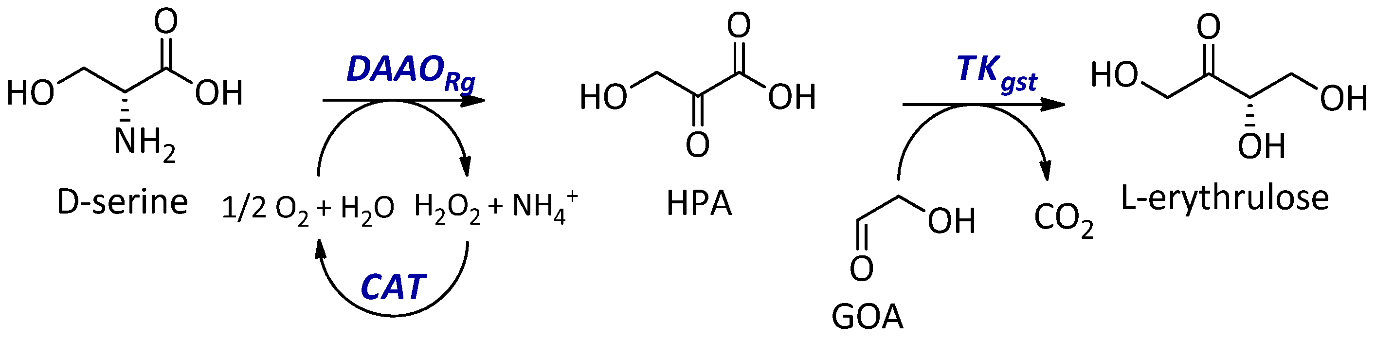 Catalysts 13 00095 sch001
