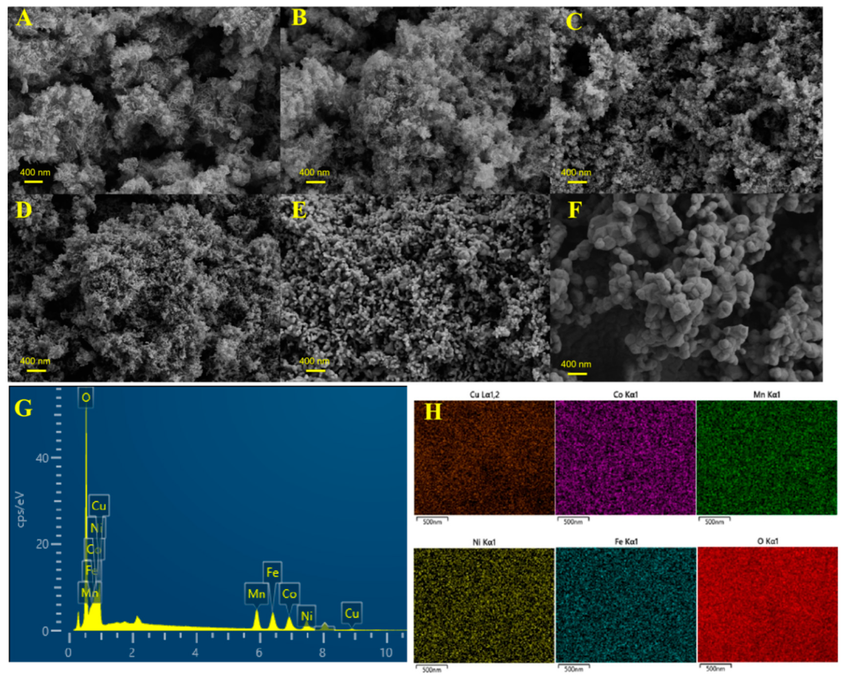 Catalysts 13 00119 g002