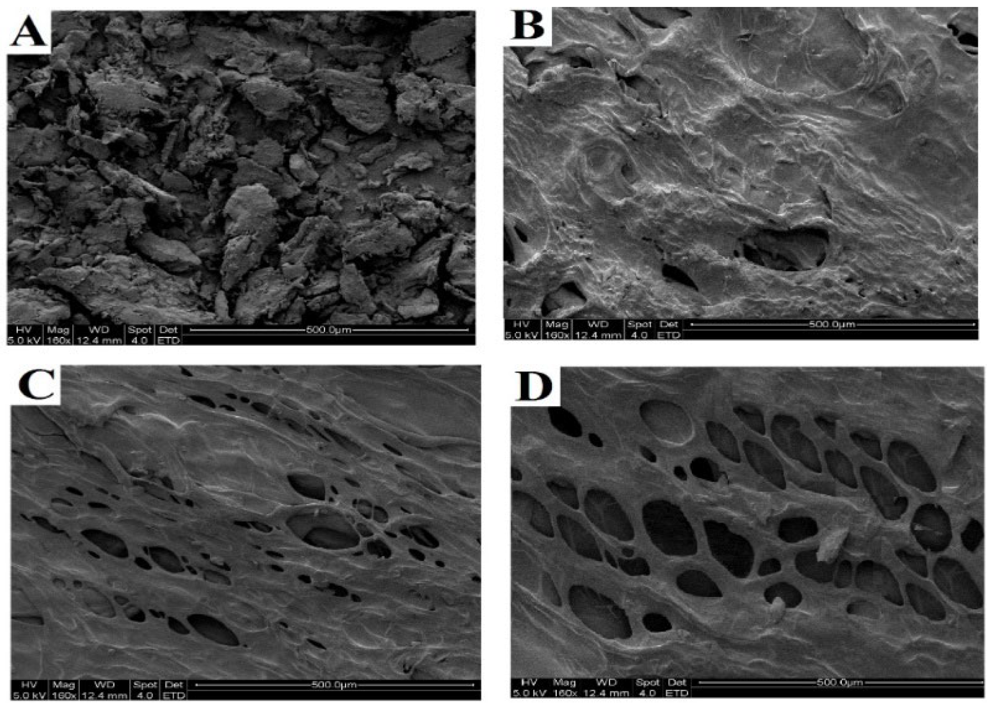 Catalysts 13 00125 g004