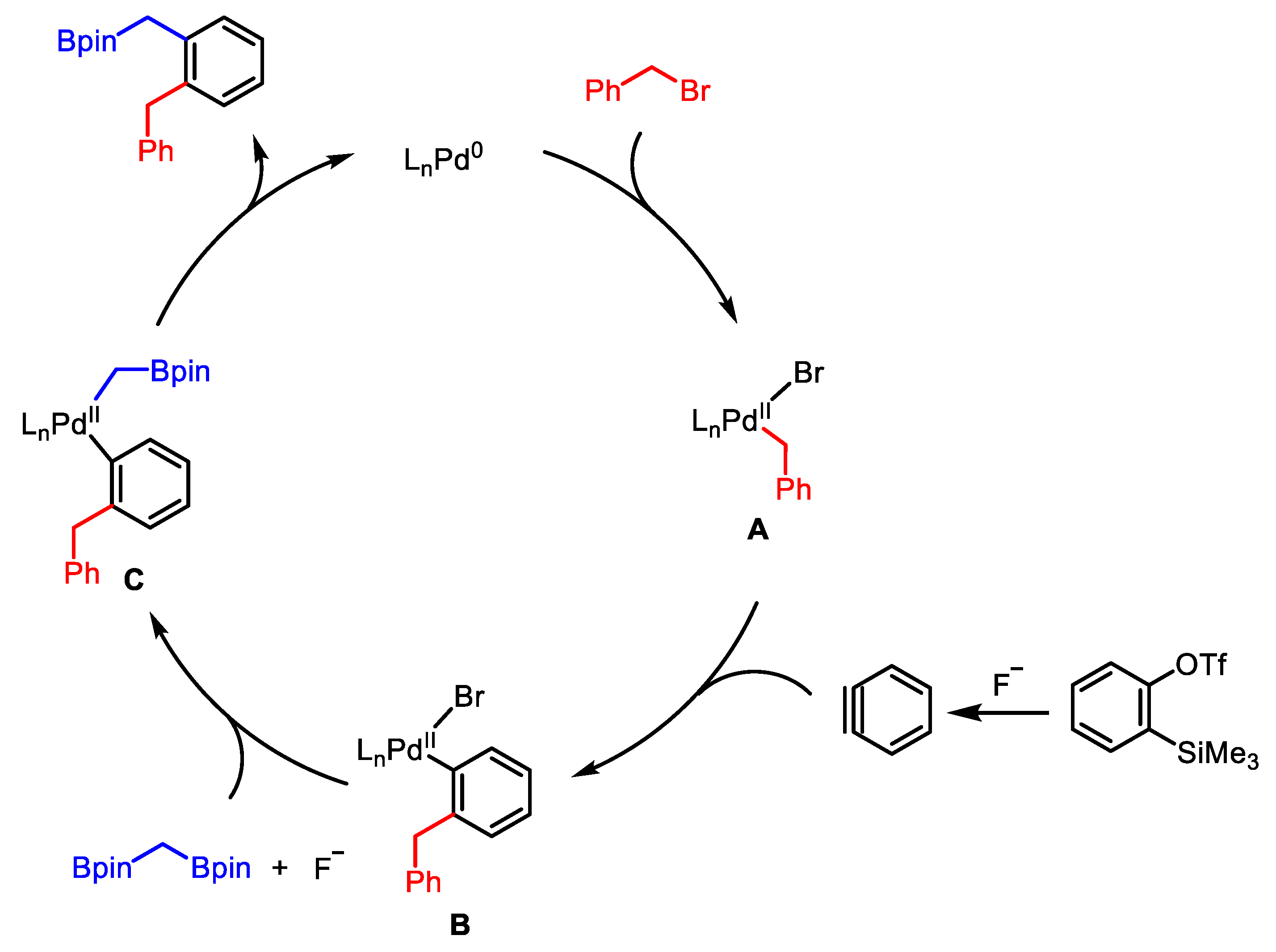 Catalysts 13 00126 sch003