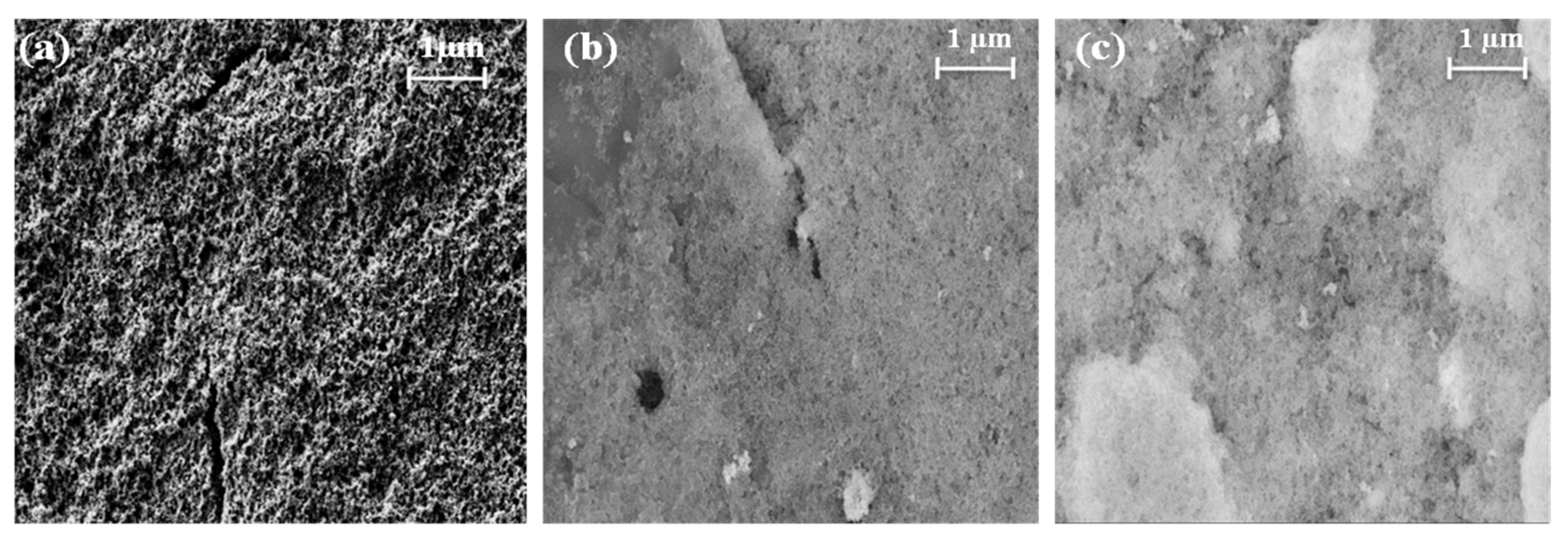 Catalysts 13 00127 g005