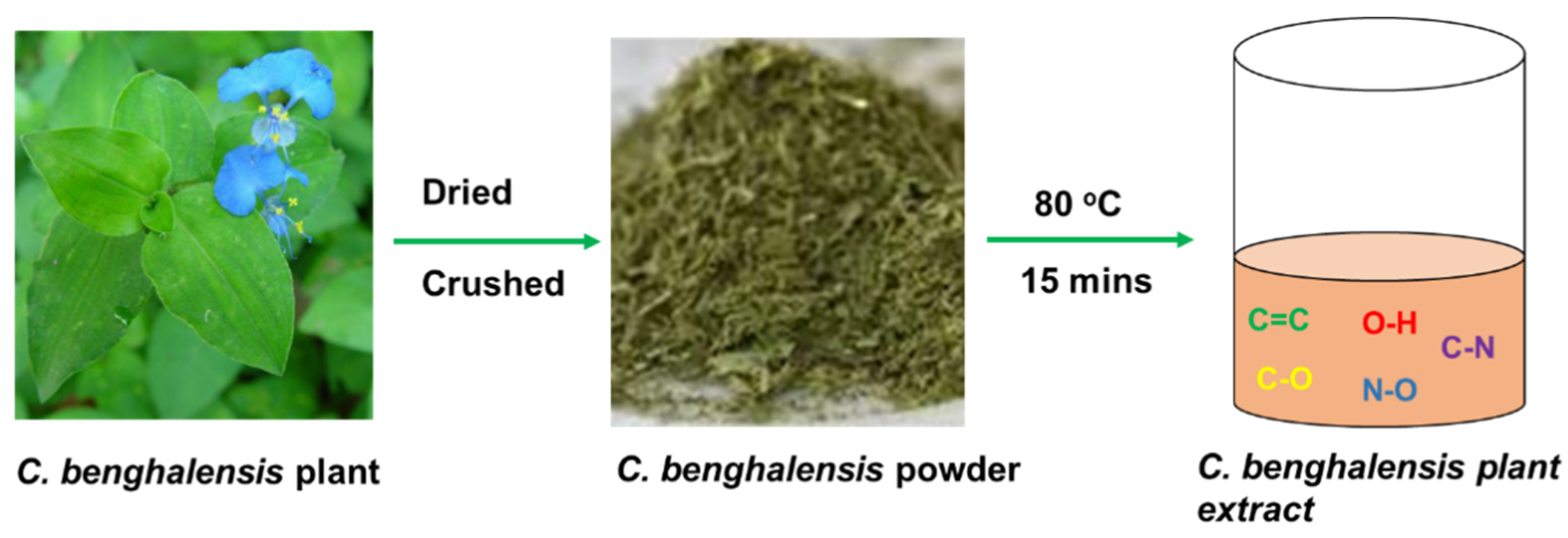 Catalysts 13 00163 sch002 Catalysts 13 00163 sch002