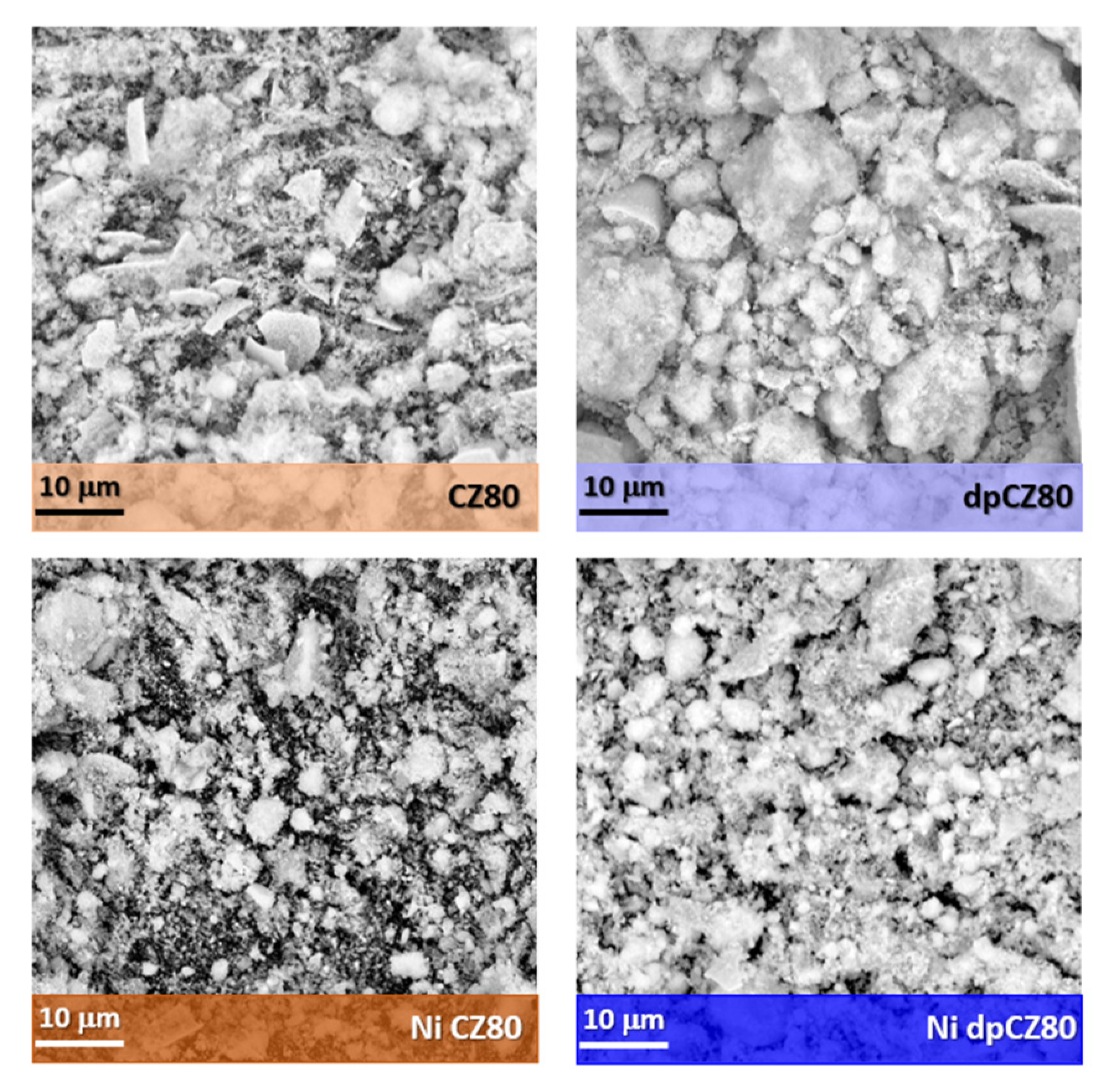 Catalysts 13 00165 g003 Catalysts 13 00165 g003