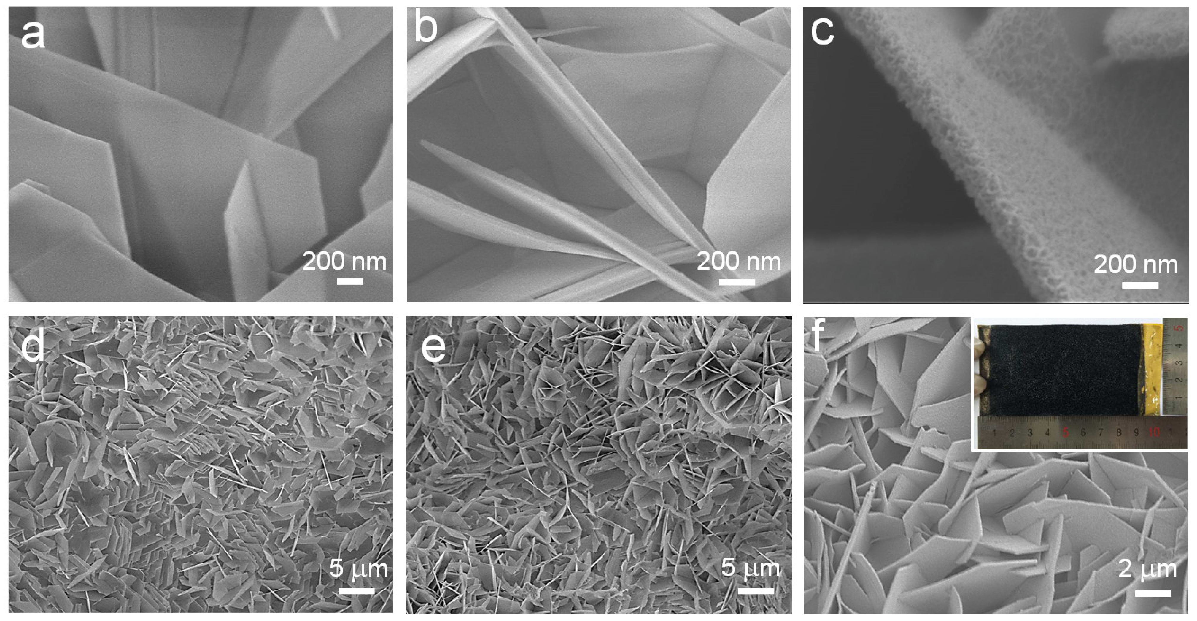 Catalysts 13 00174 g002