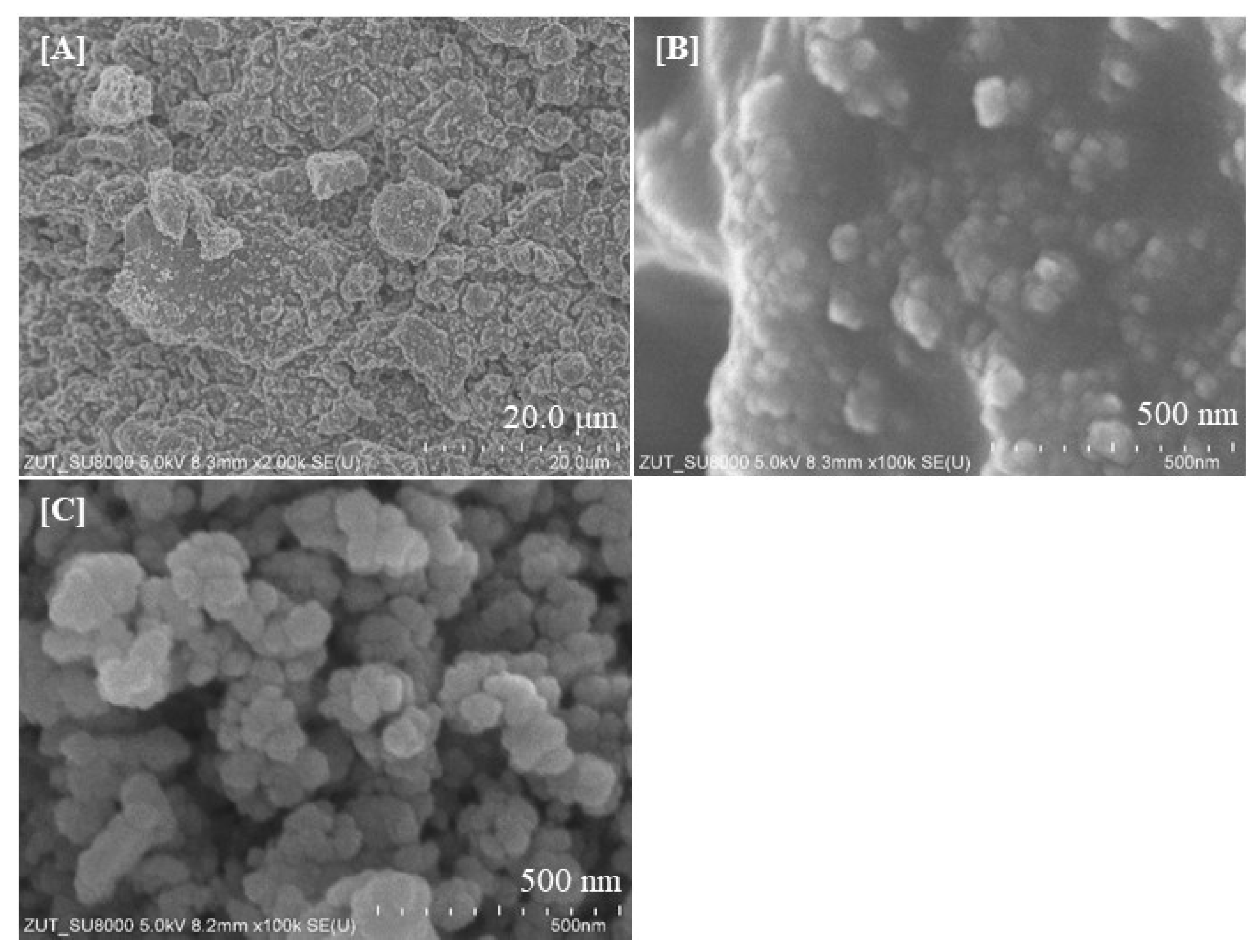 Catalysts 13 00186 g006