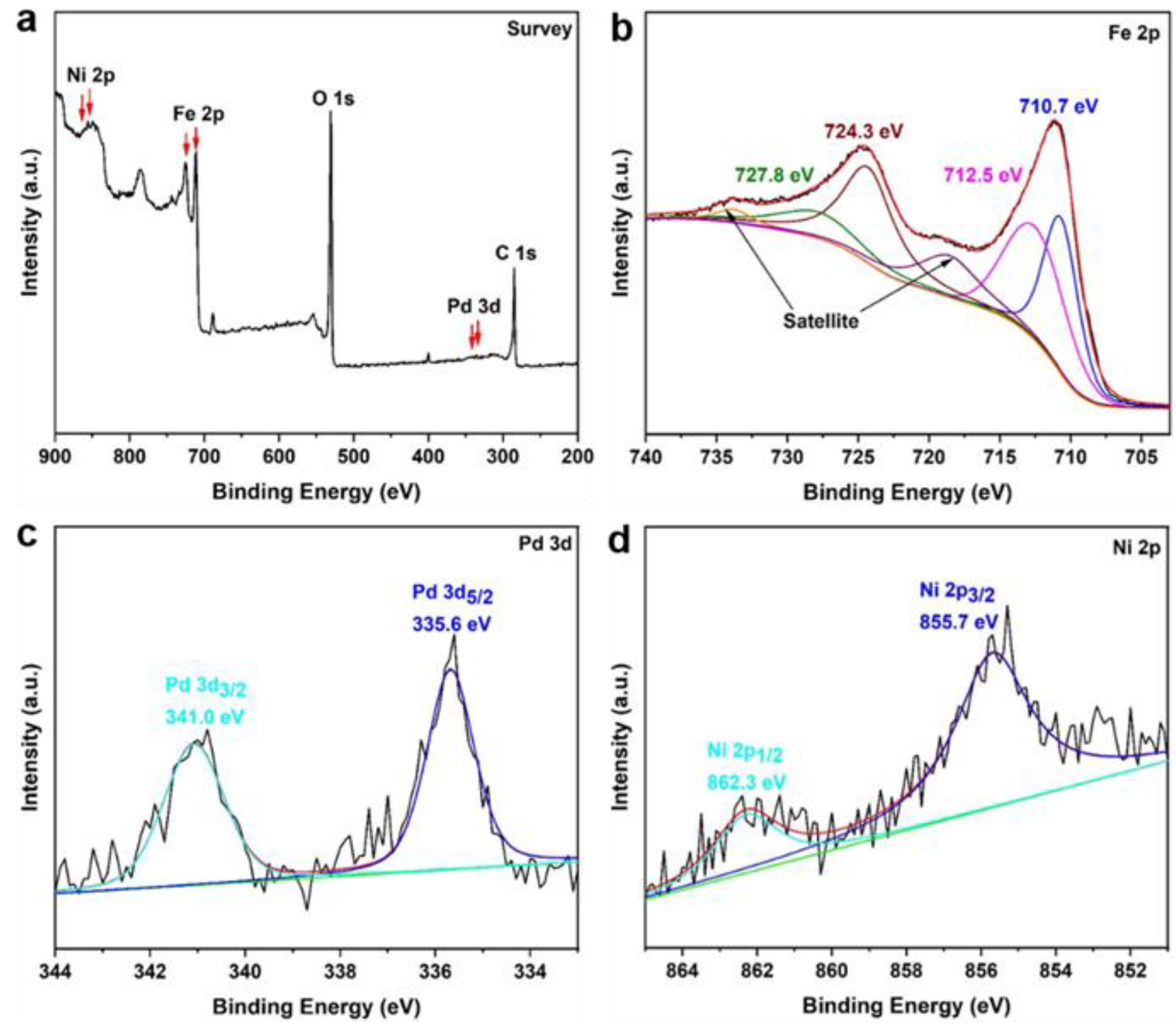 Catalysts 13 00190 g005