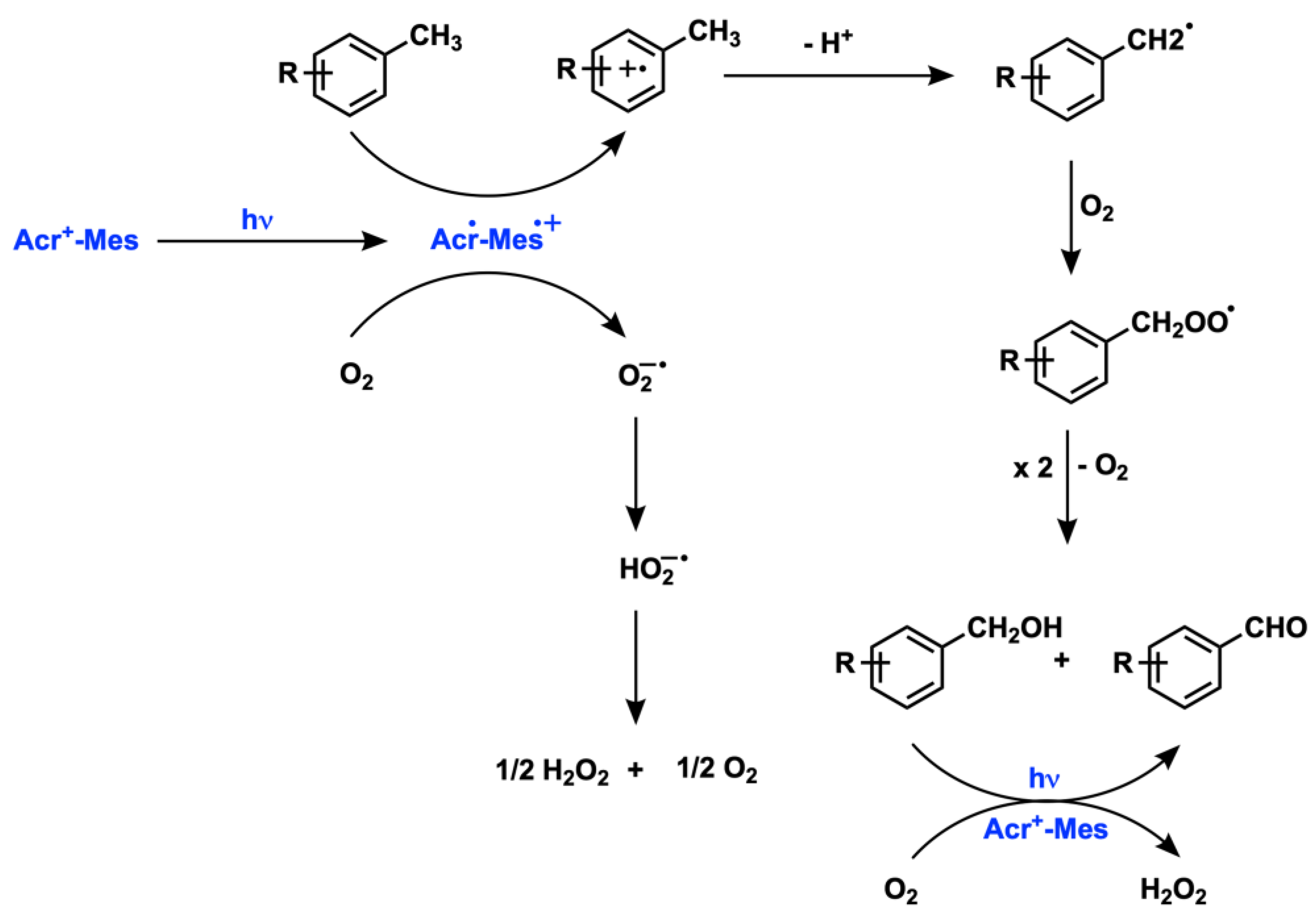 Catalysts 13 00220 sch003