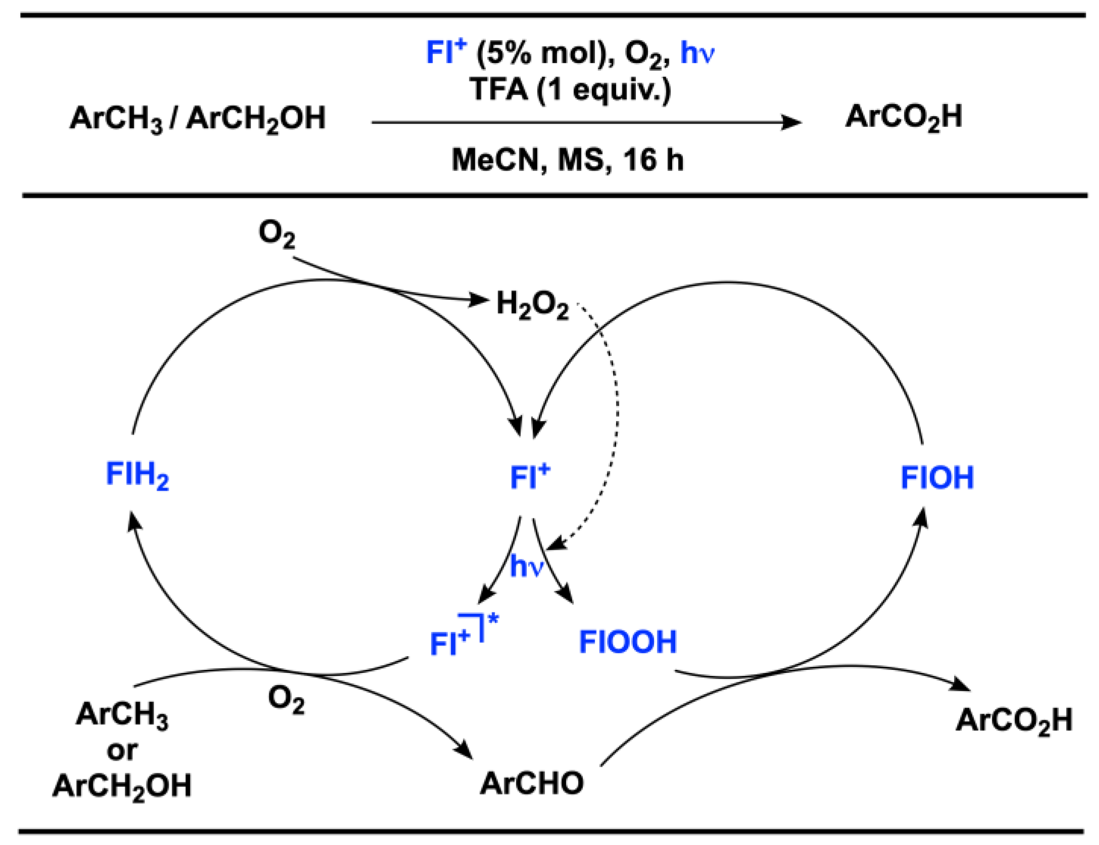 Catalysts 13 00220 sch005