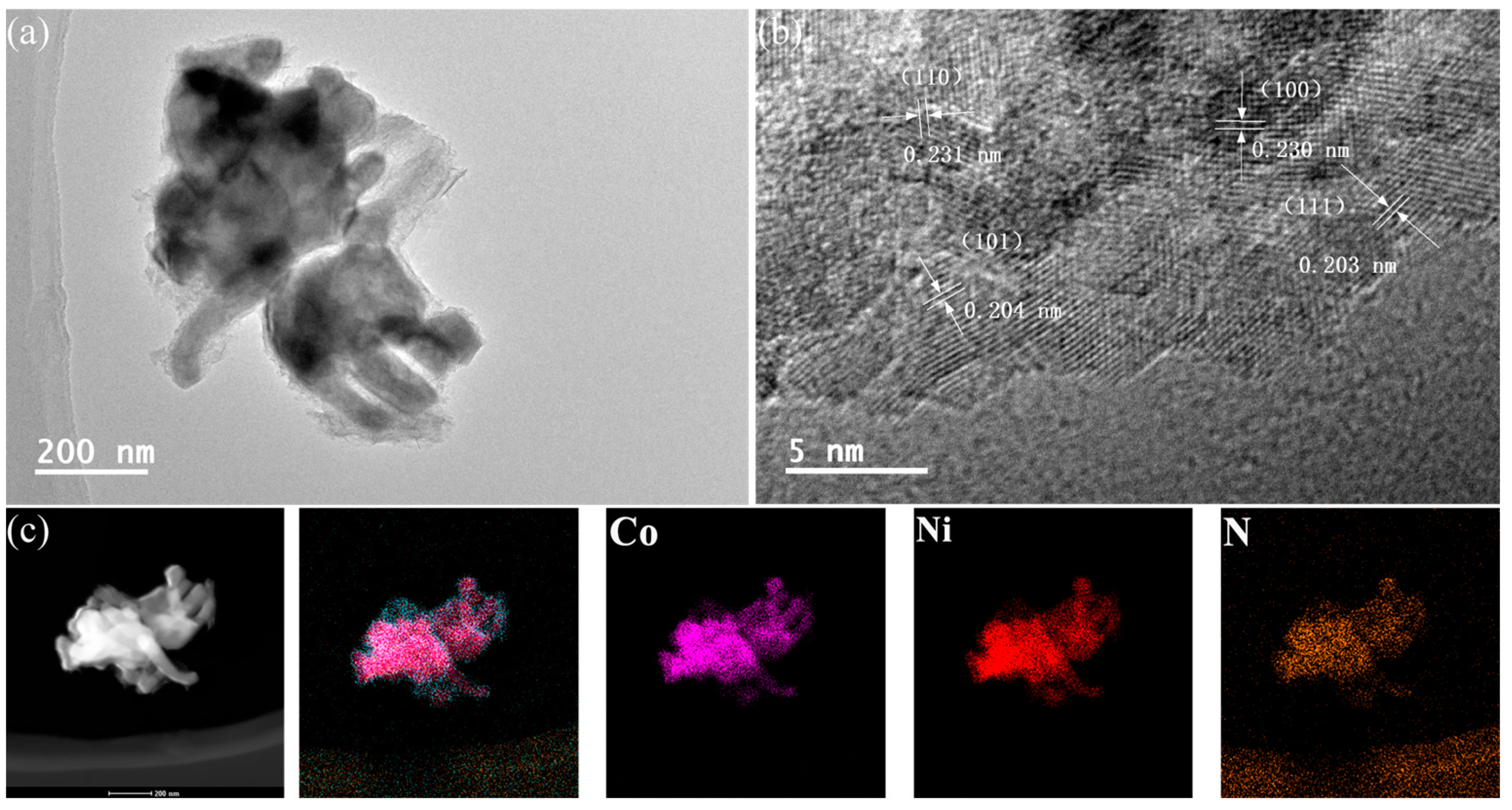 Catalysts 13 00230 g005