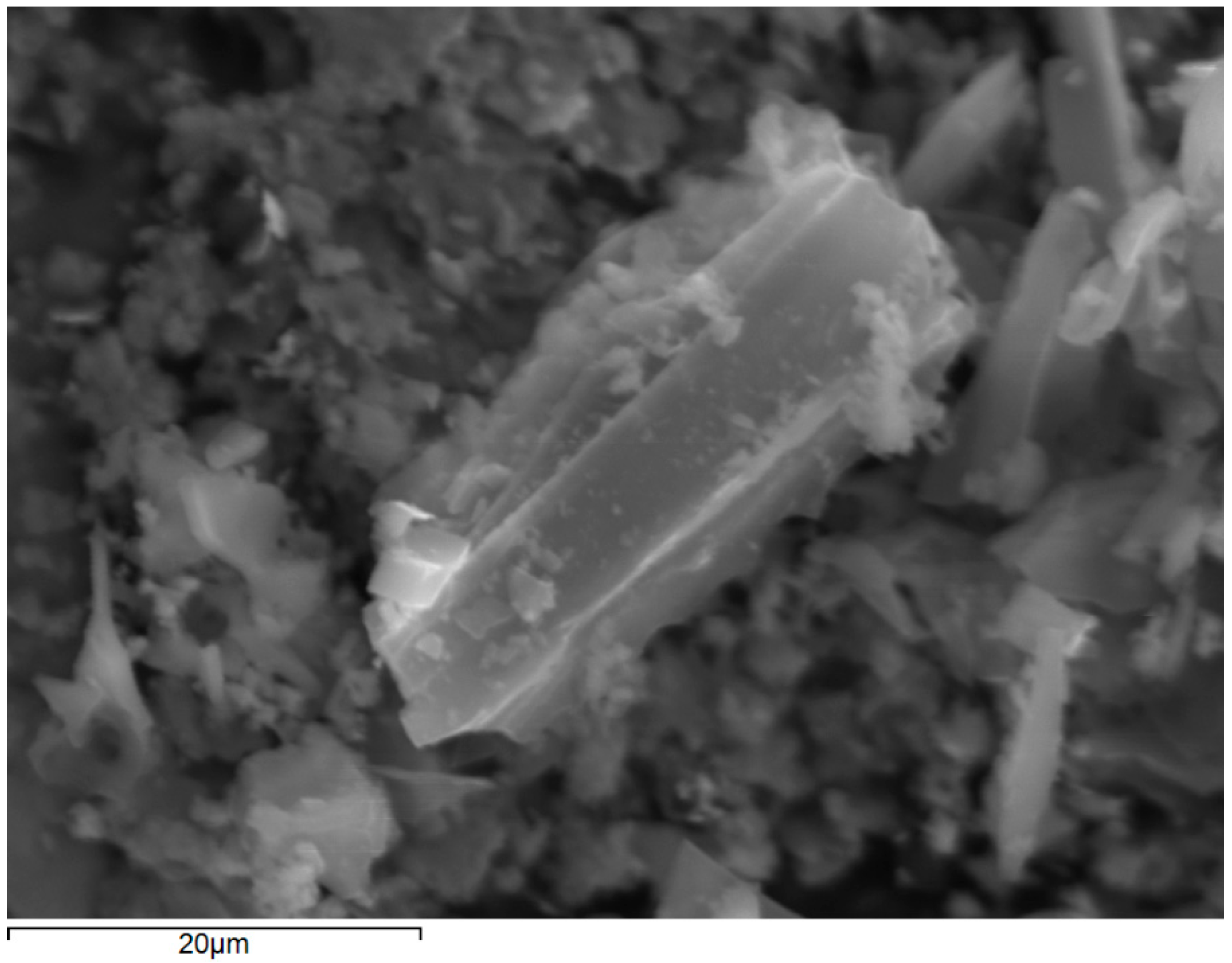 Catalysts 13 00233 g001 Catalysts 13 00233 g001