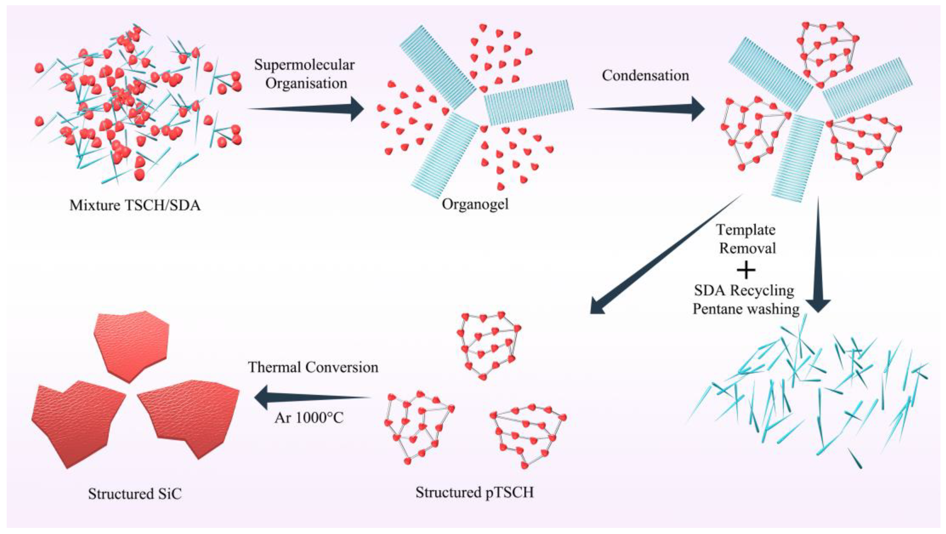 Catalysts 13 00236 g003