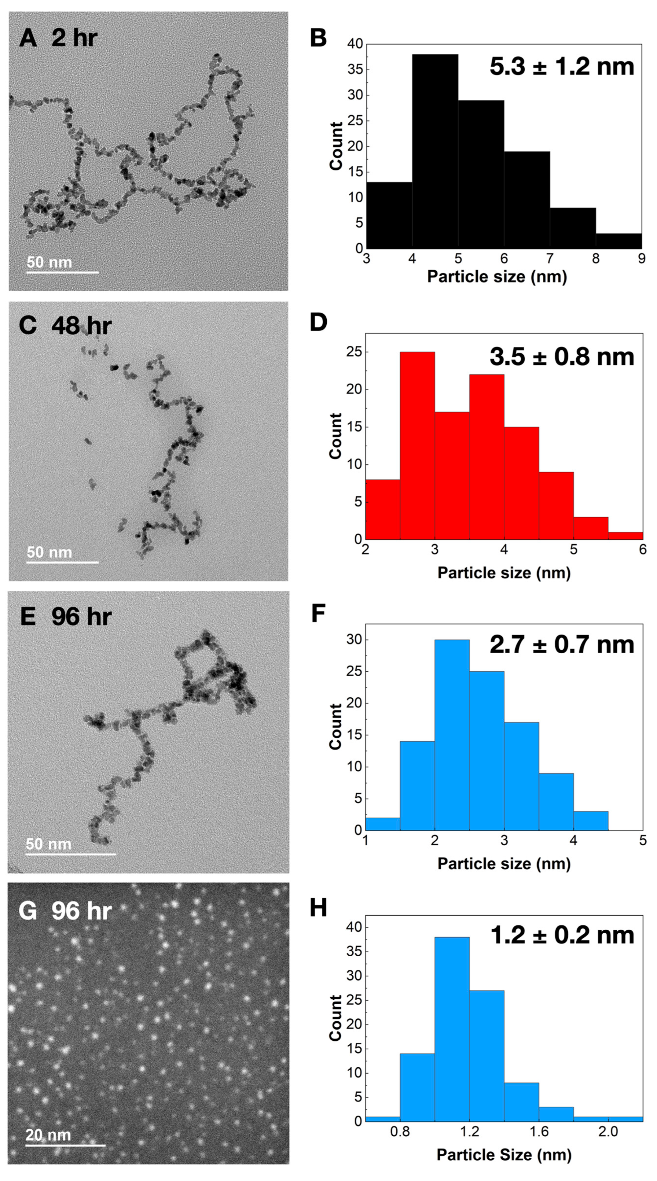 Catalysts 13 00246 g002