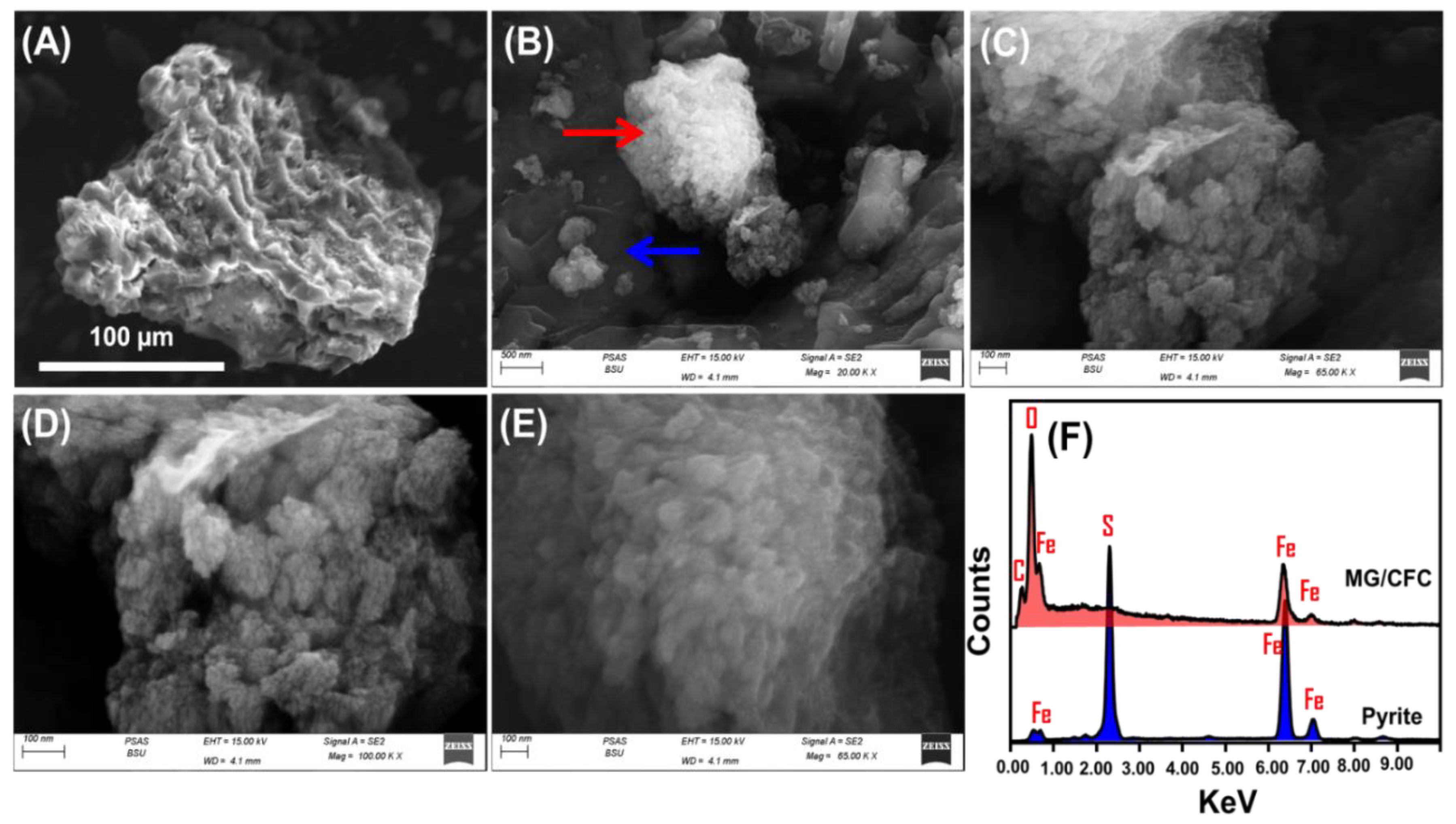 Catalysts 13 00264 g002