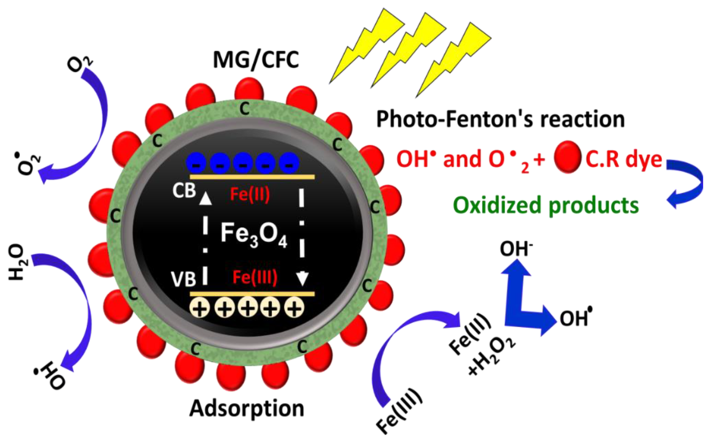 Catalysts 13 00264 g009